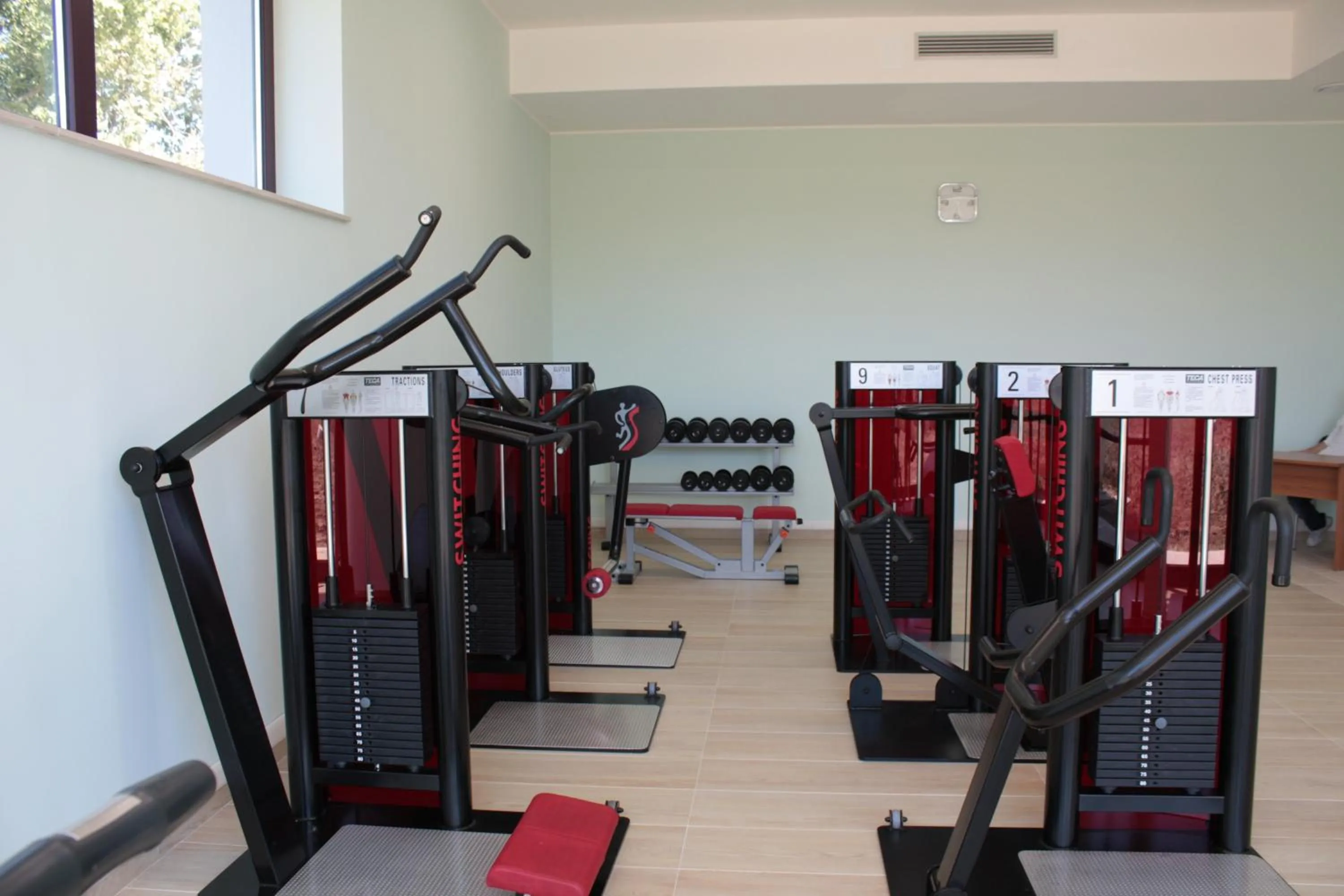 Activities in Domus Hotel