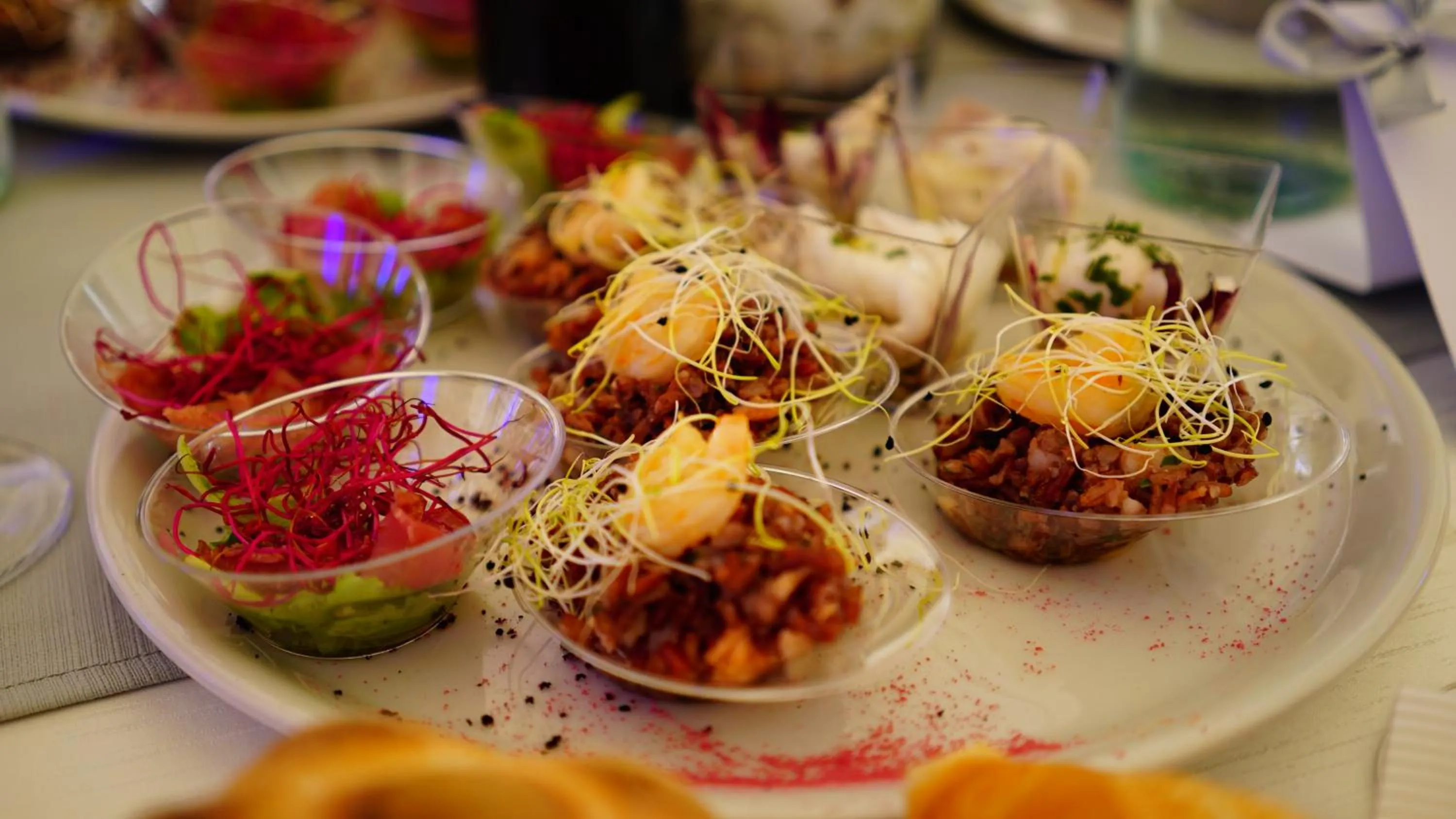 Dinner in Domus Hotel