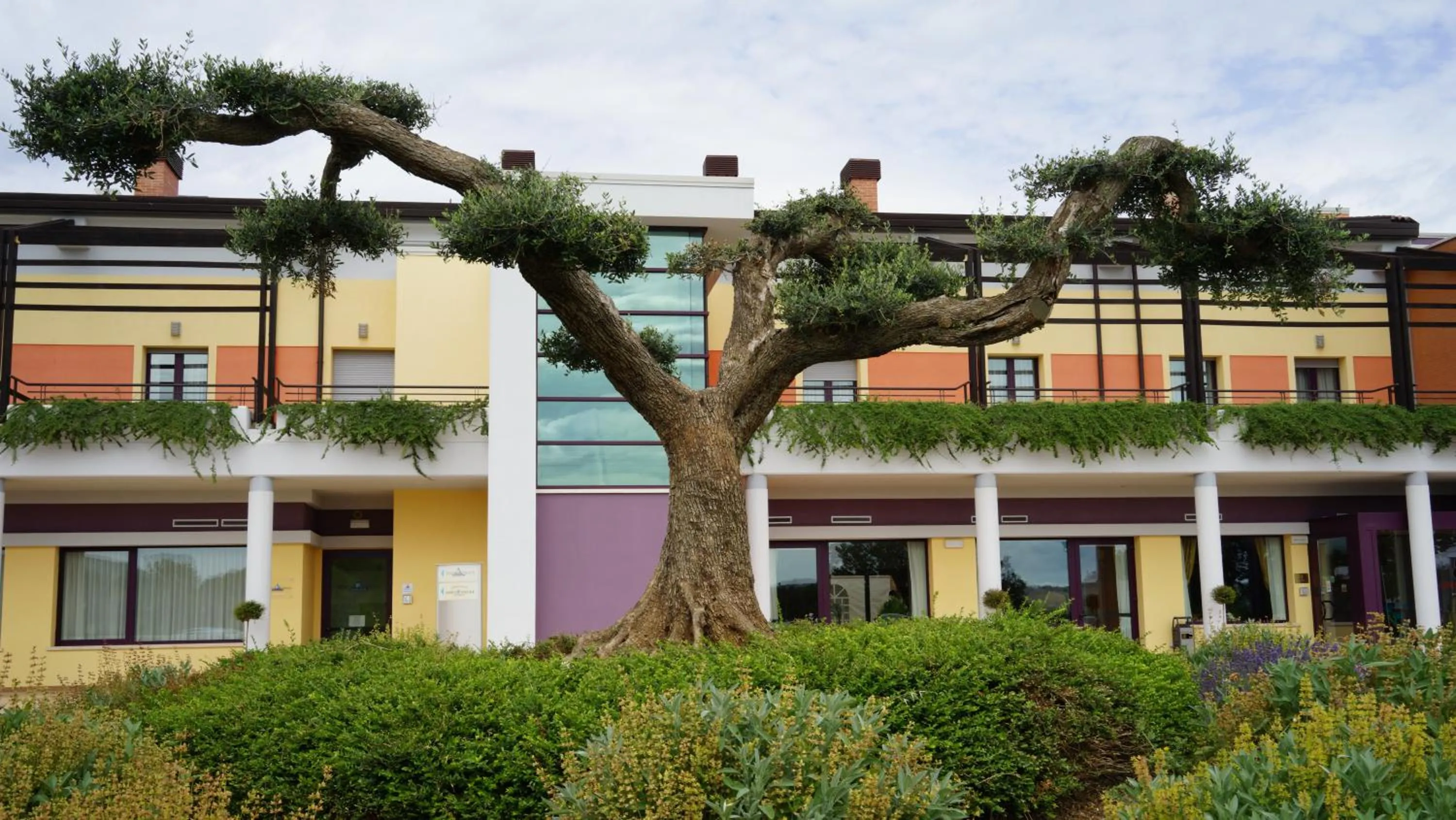 Property building in Domus Hotel