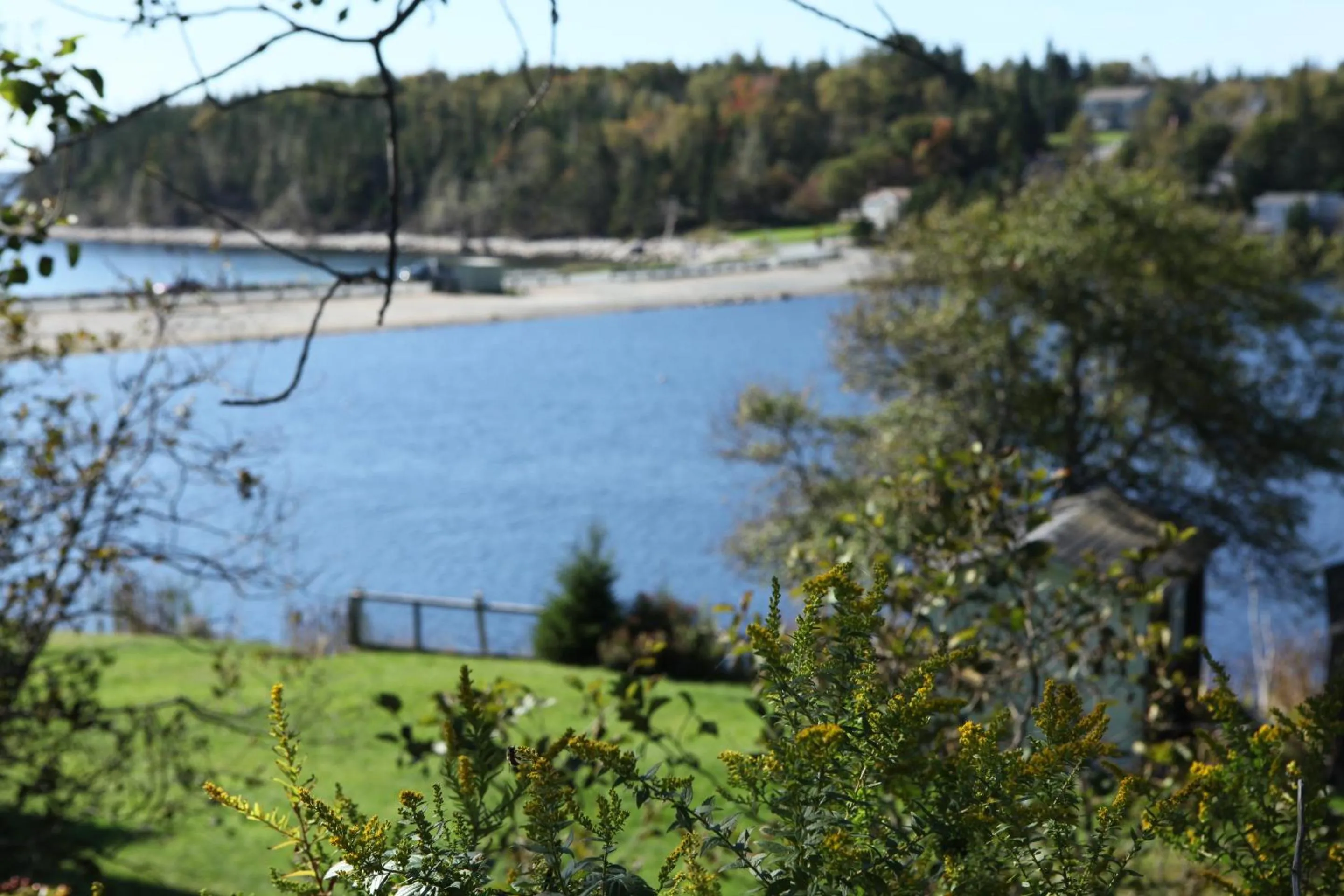 View (from property/room) in Surfside Inn