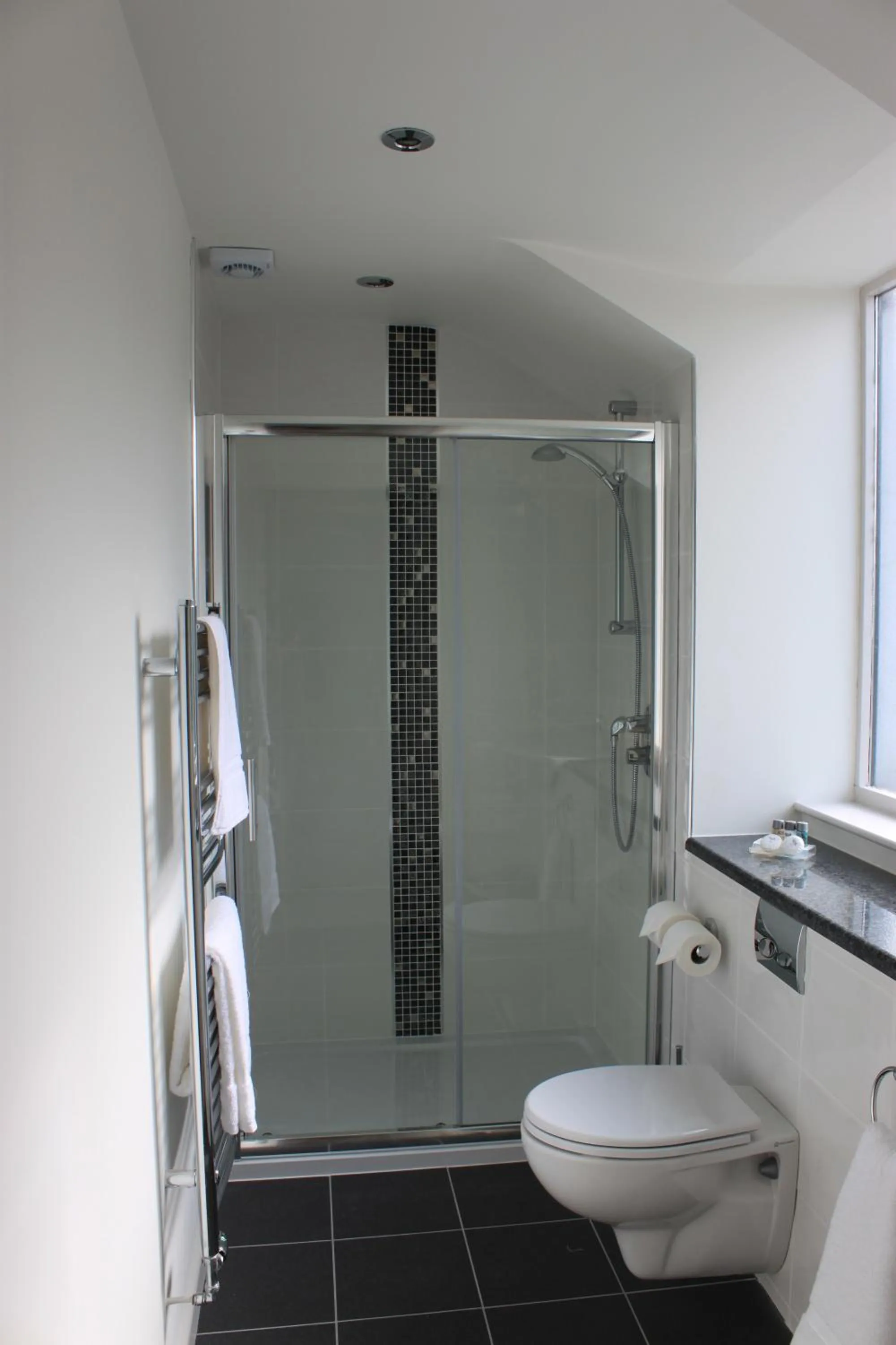 Bathroom in Tudor Lodge Bed & Breakfast