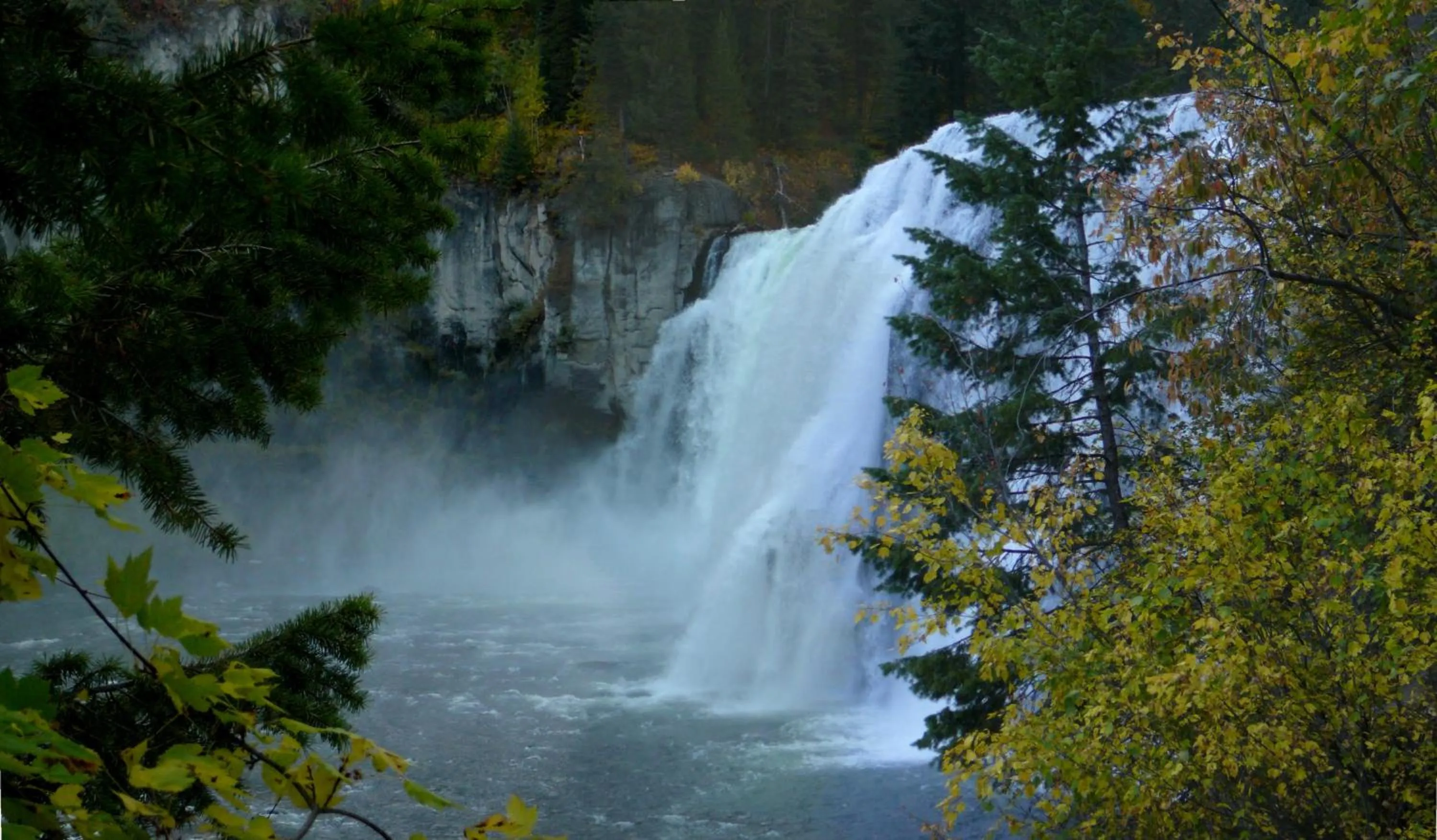 Area and facilities in The Pines at Island Park