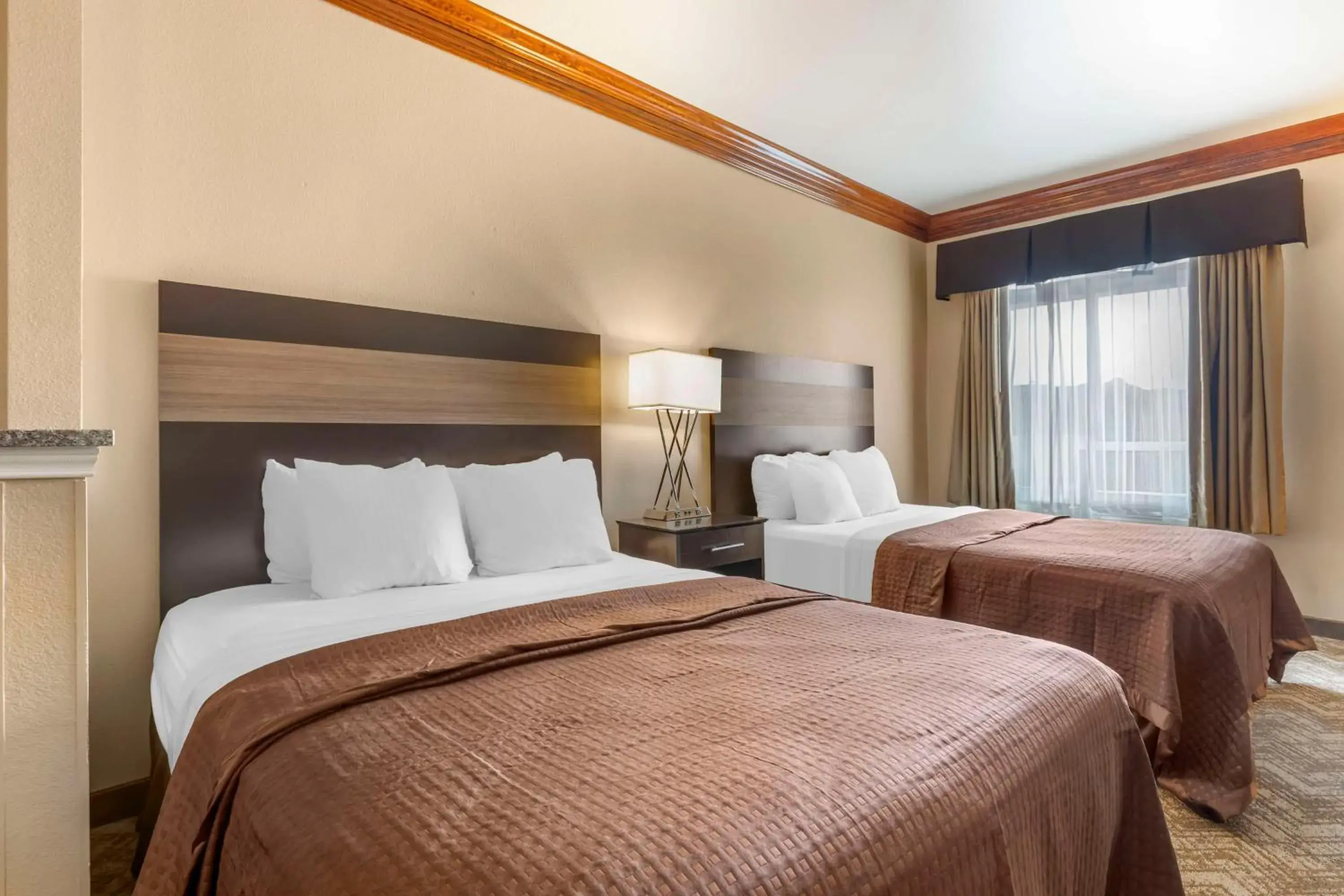 Photo of the whole room, Bed in Best Western Fort Worth Inn & Suites Photo of the whole room, Bed in Best Western Fort Worth Inn & Suites