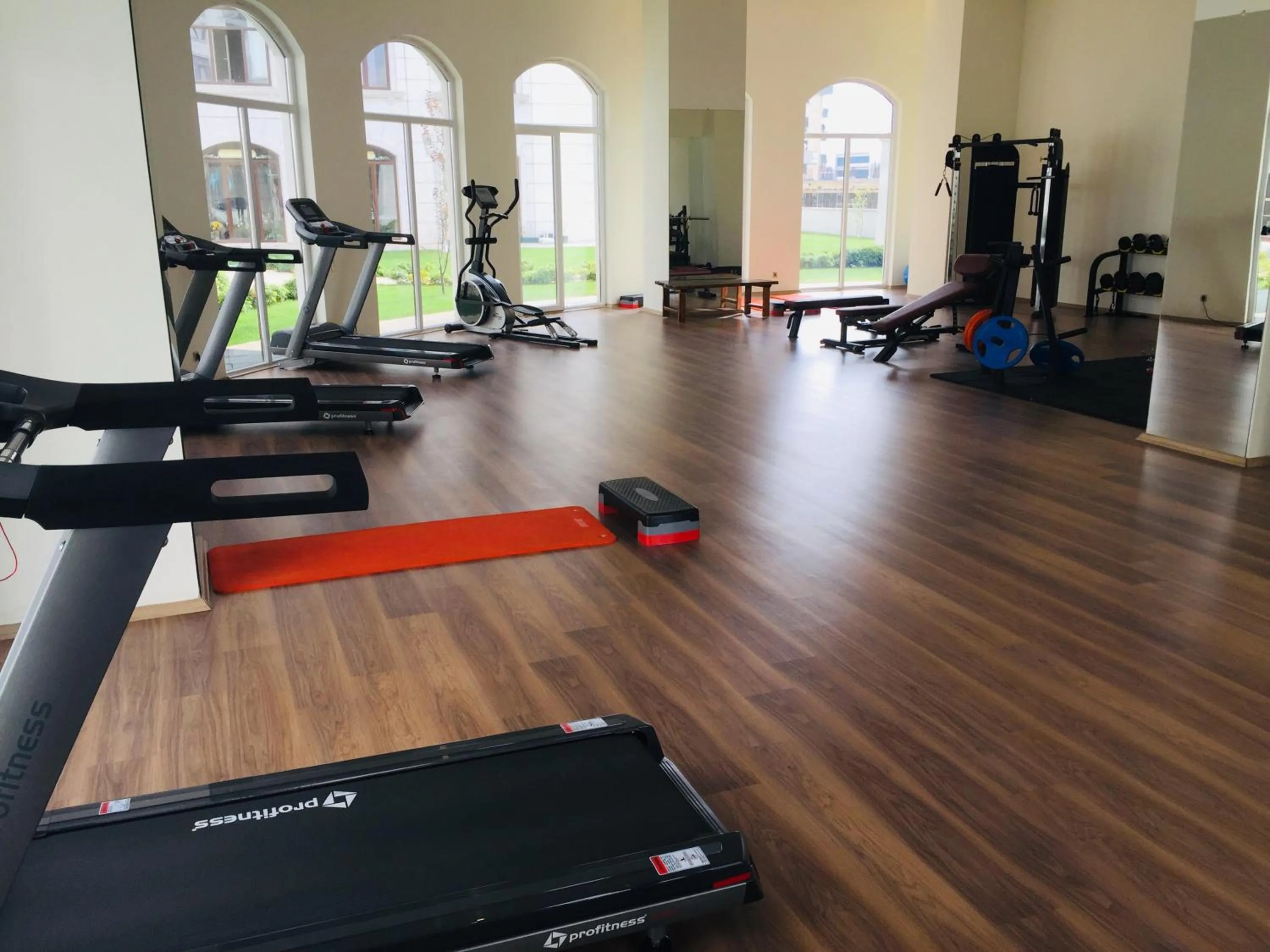 Fitness centre/facilities in FALCON PalaS OTEL