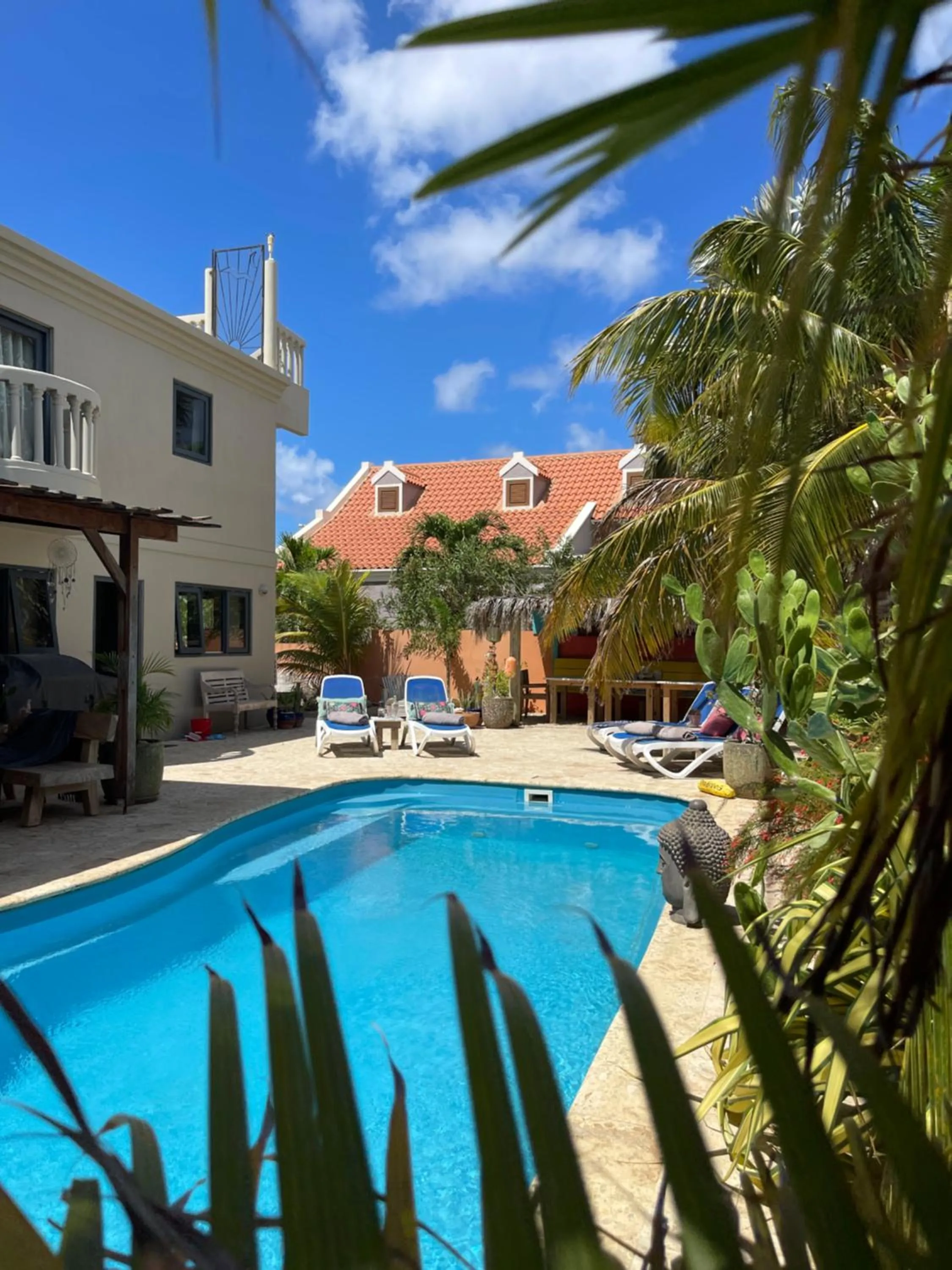 Swimming pool in Oasis guesthouse, Boutique Style Hotel