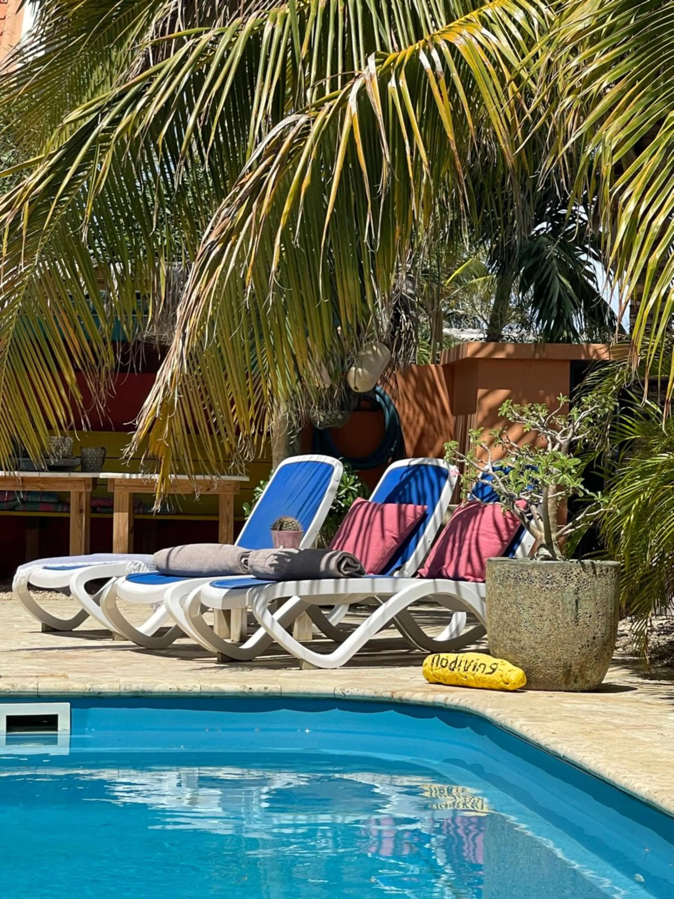 Swimming pool in Oasis guesthouse, Boutique Style Hotel