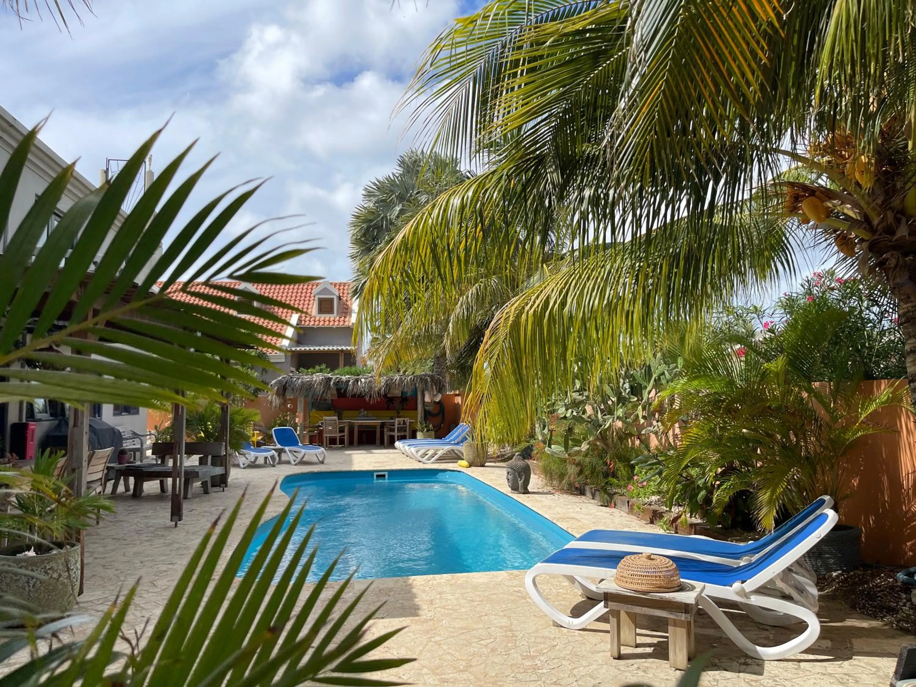 Swimming pool in Oasis guesthouse, Boutique Style Hotel