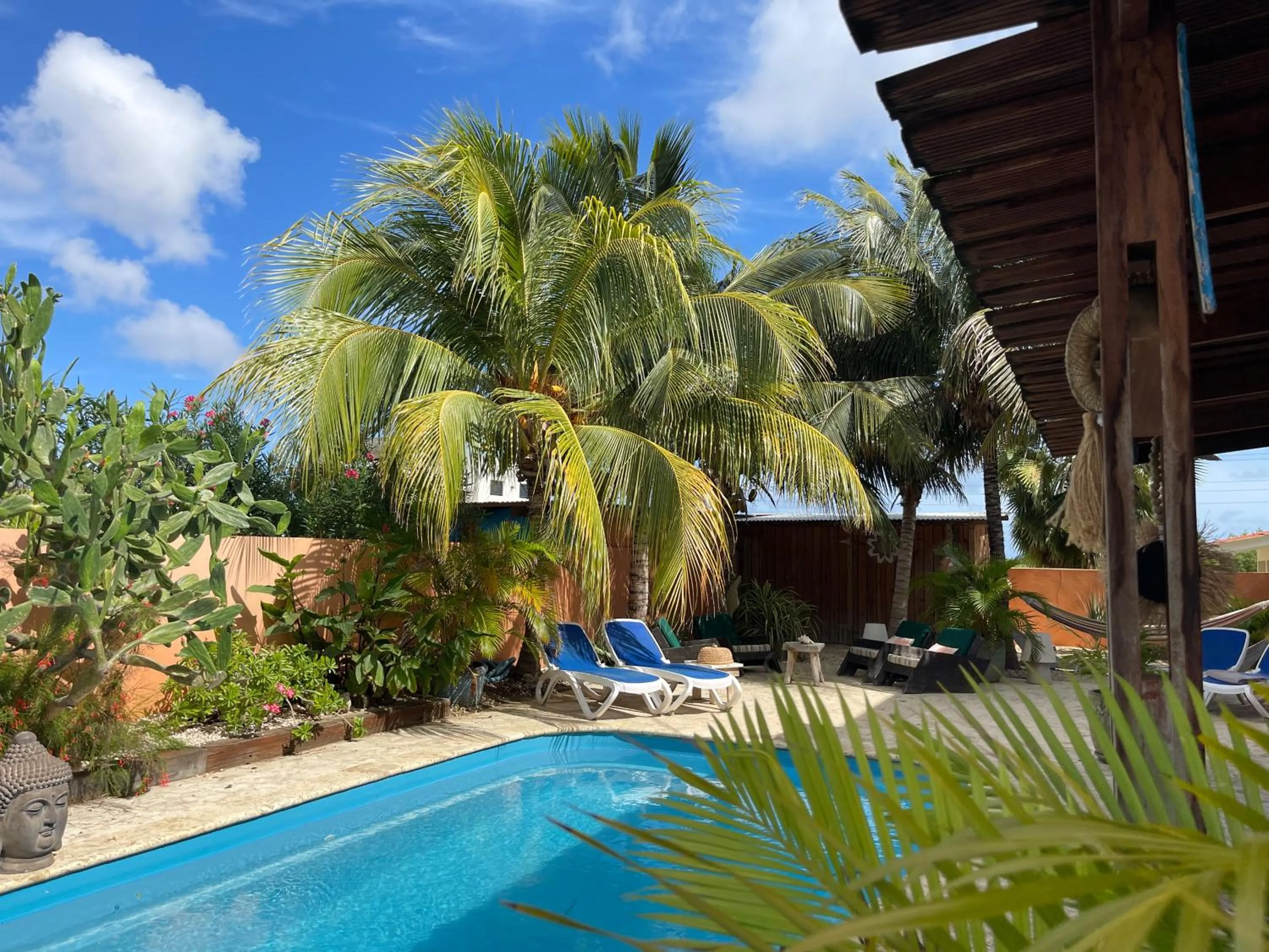 Swimming pool in Oasis guesthouse, Boutique Style Hotel
