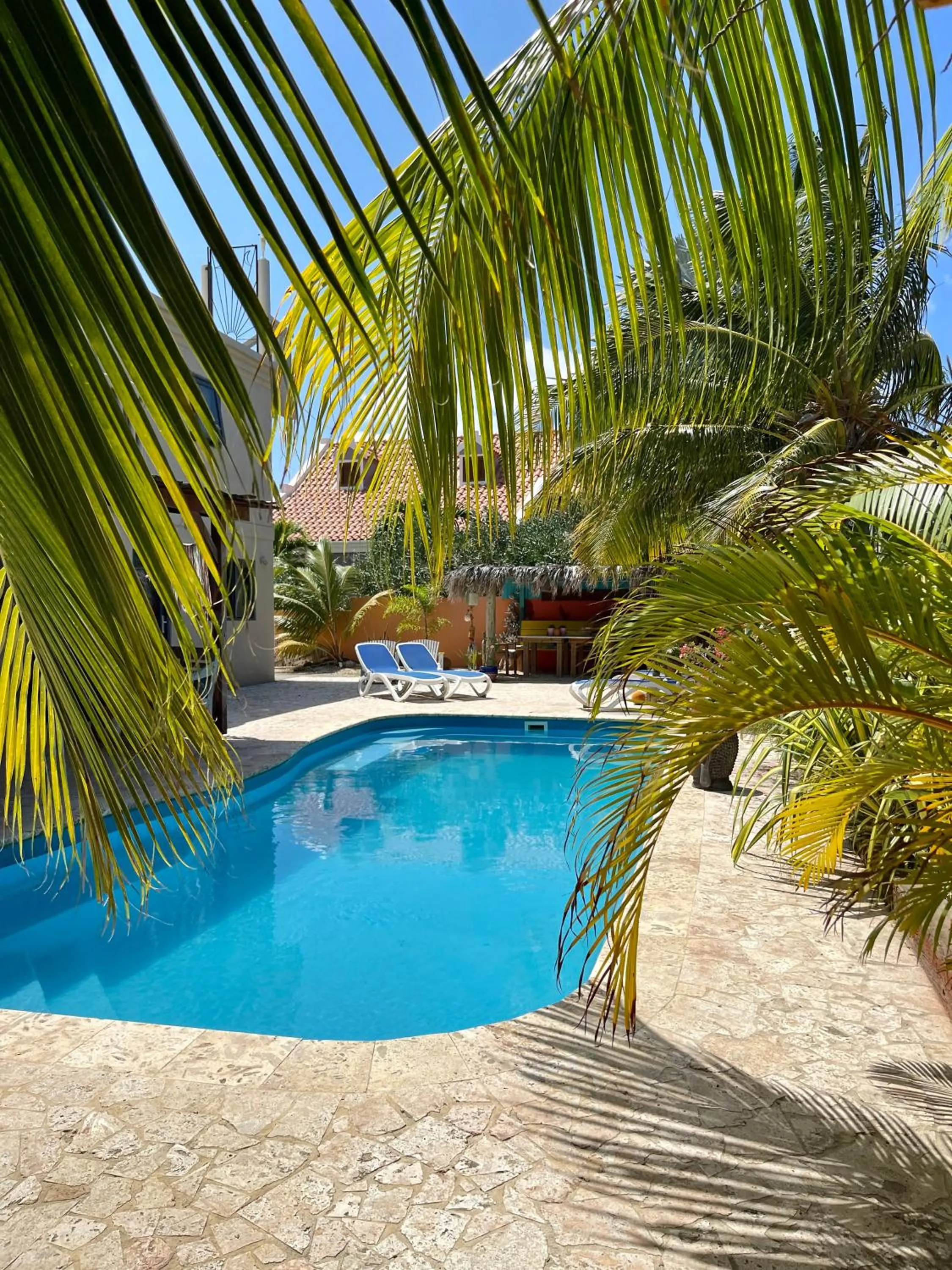 Swimming pool in Oasis guesthouse, Boutique Style Hotel