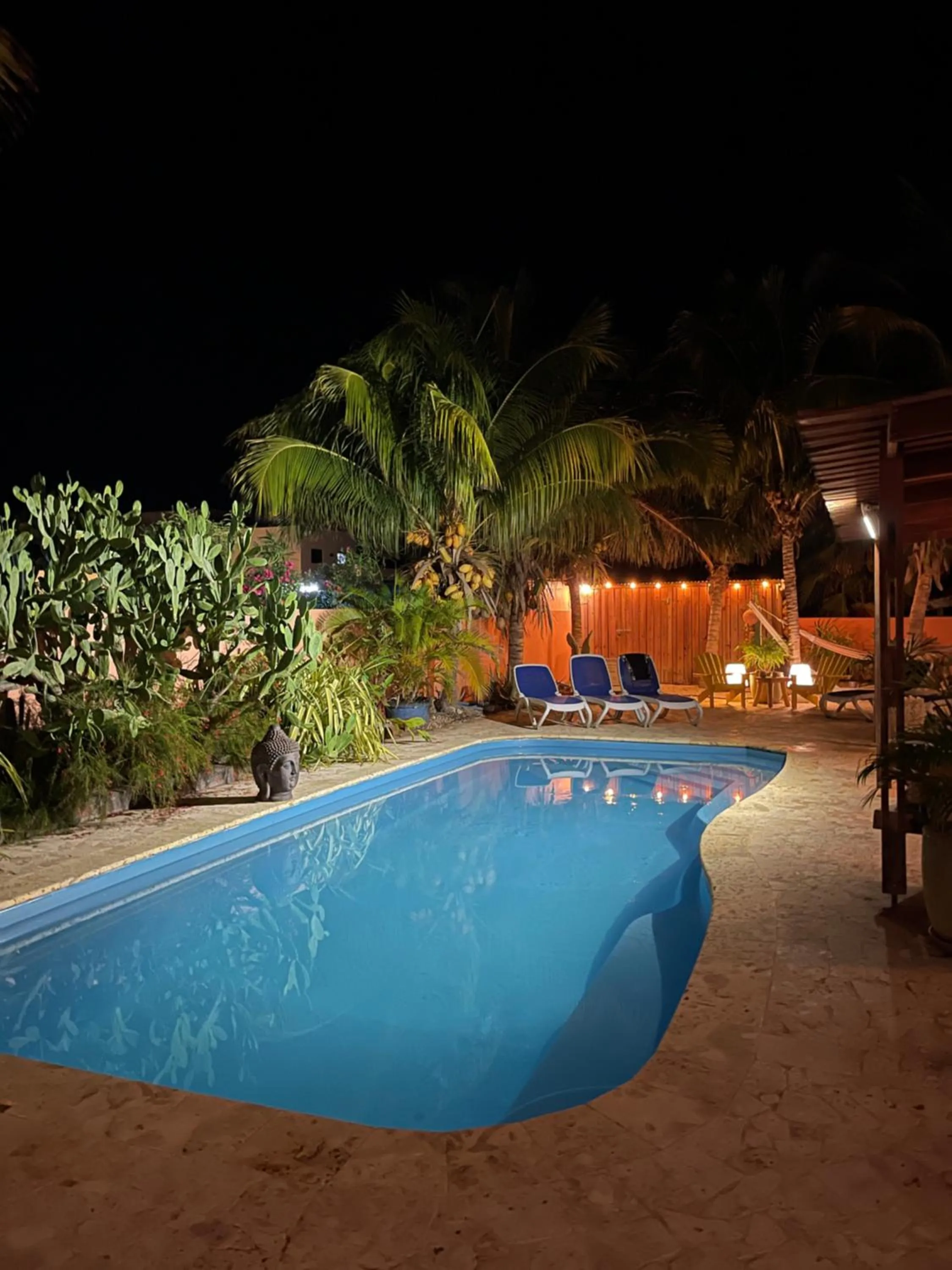 Swimming pool in Oasis guesthouse, Boutique Style Hotel