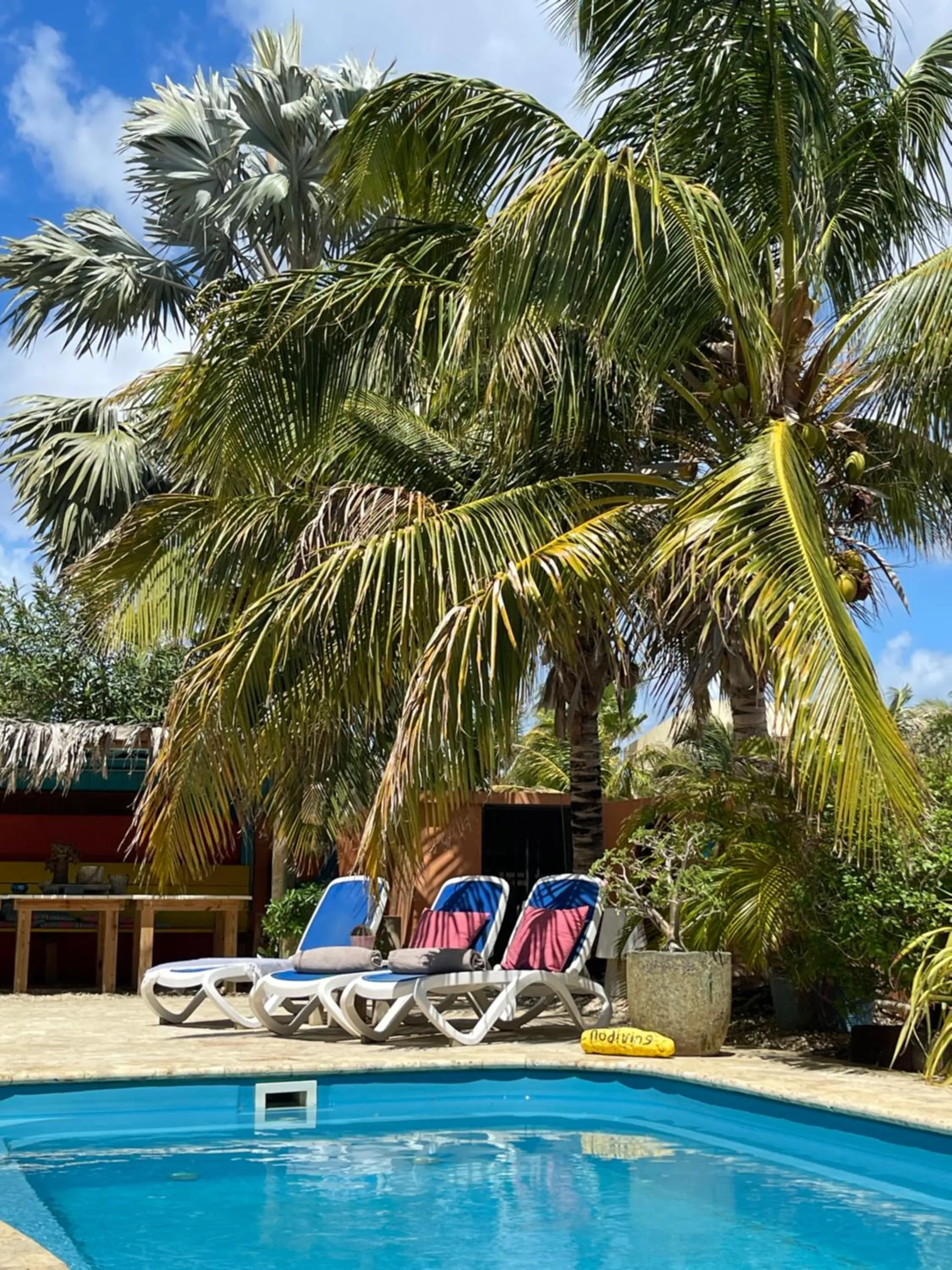 Swimming pool in Oasis guesthouse, Boutique Style Hotel