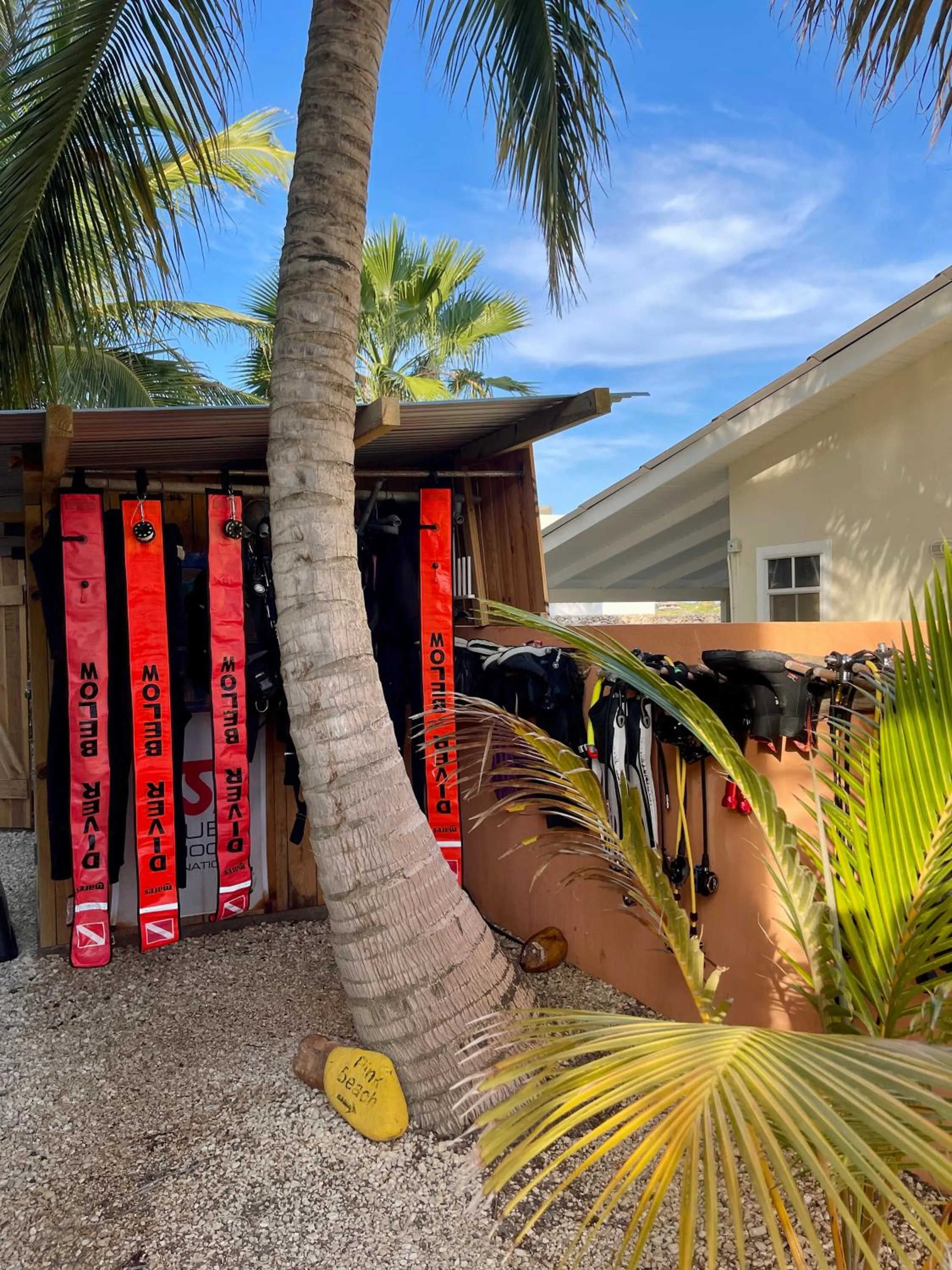 Diving in Oasis guesthouse, Boutique Style Hotel