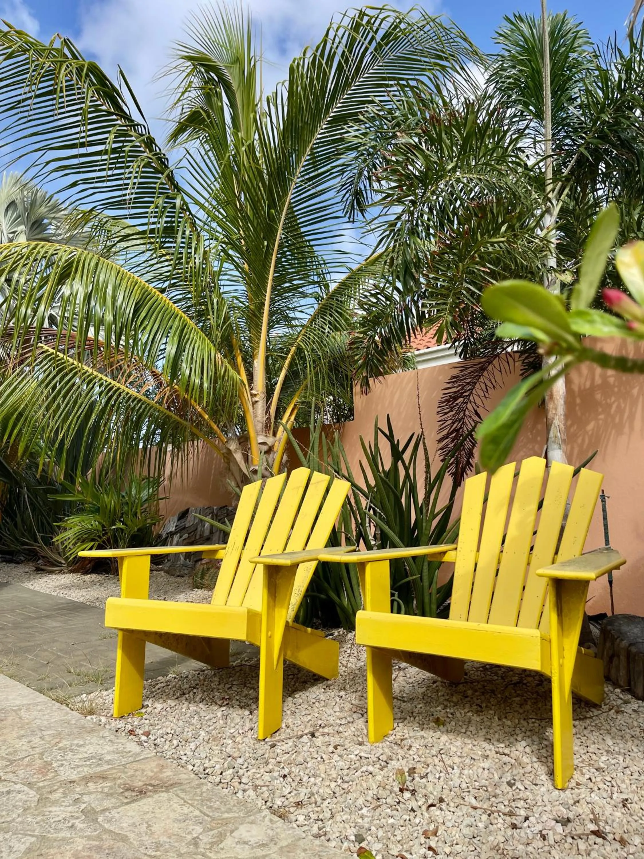 Garden in Oasis guesthouse, Boutique Style Hotel