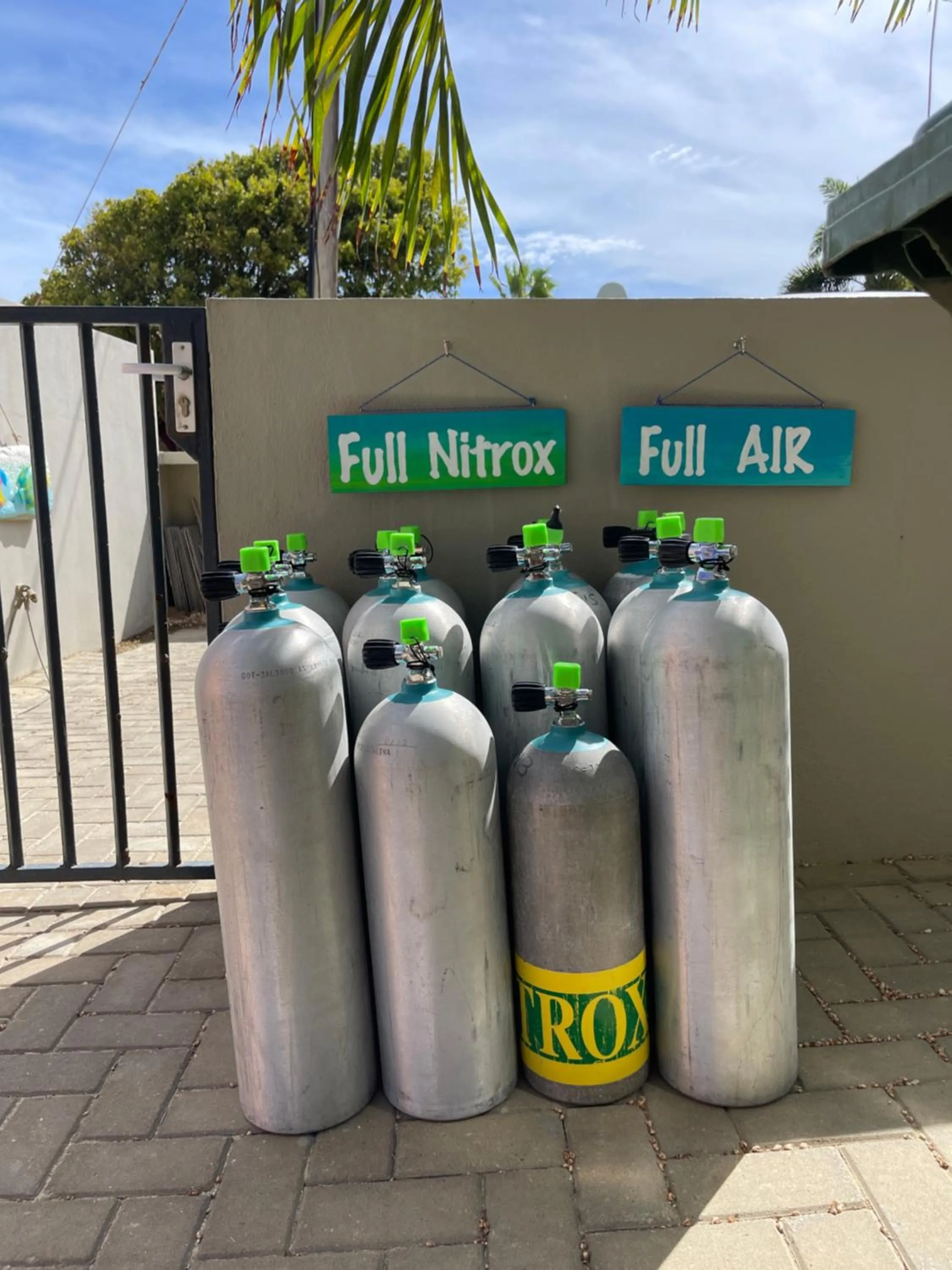 Diving in Oasis guesthouse, Boutique Style Hotel