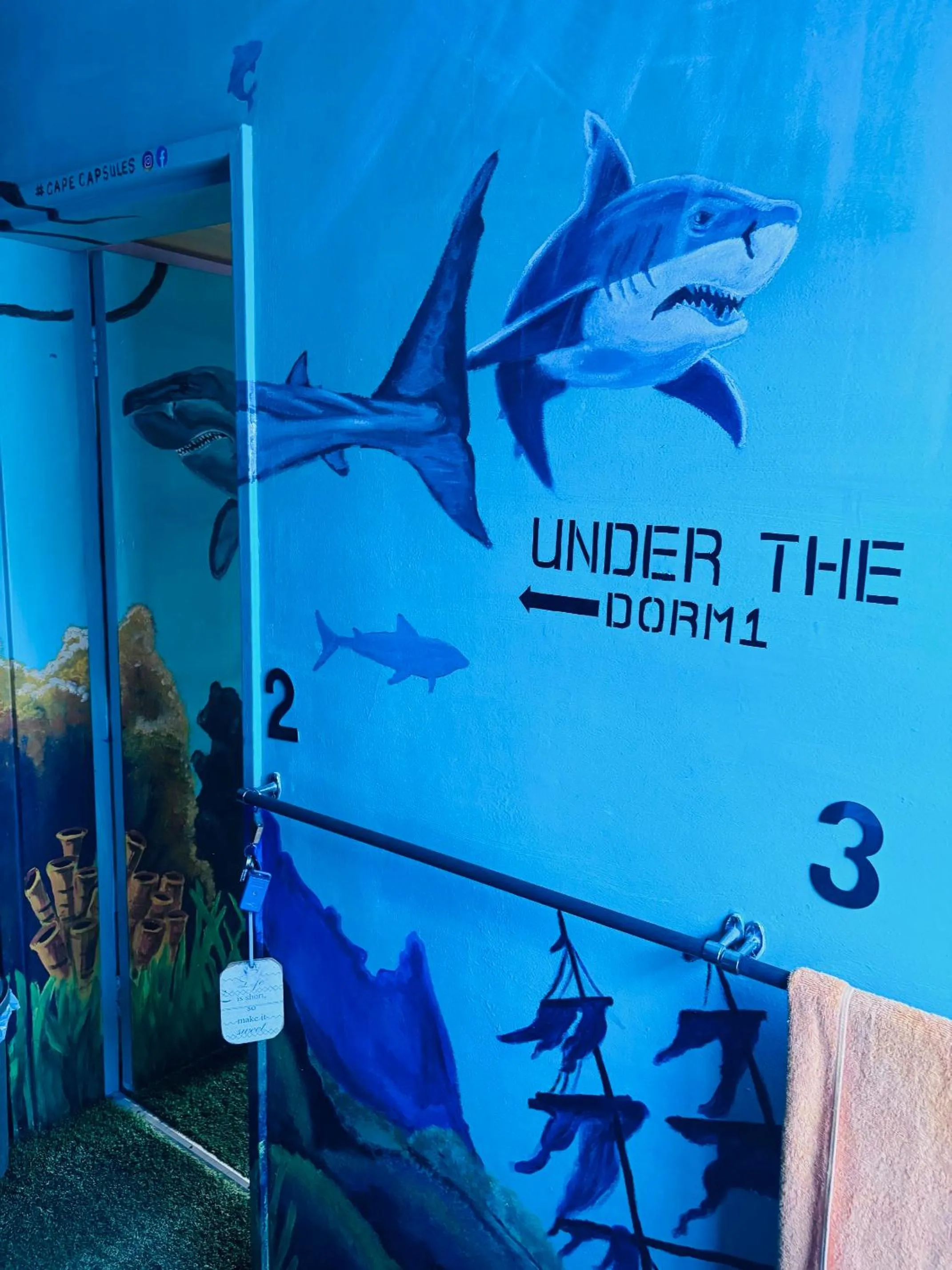 Property building in Cape Capsules