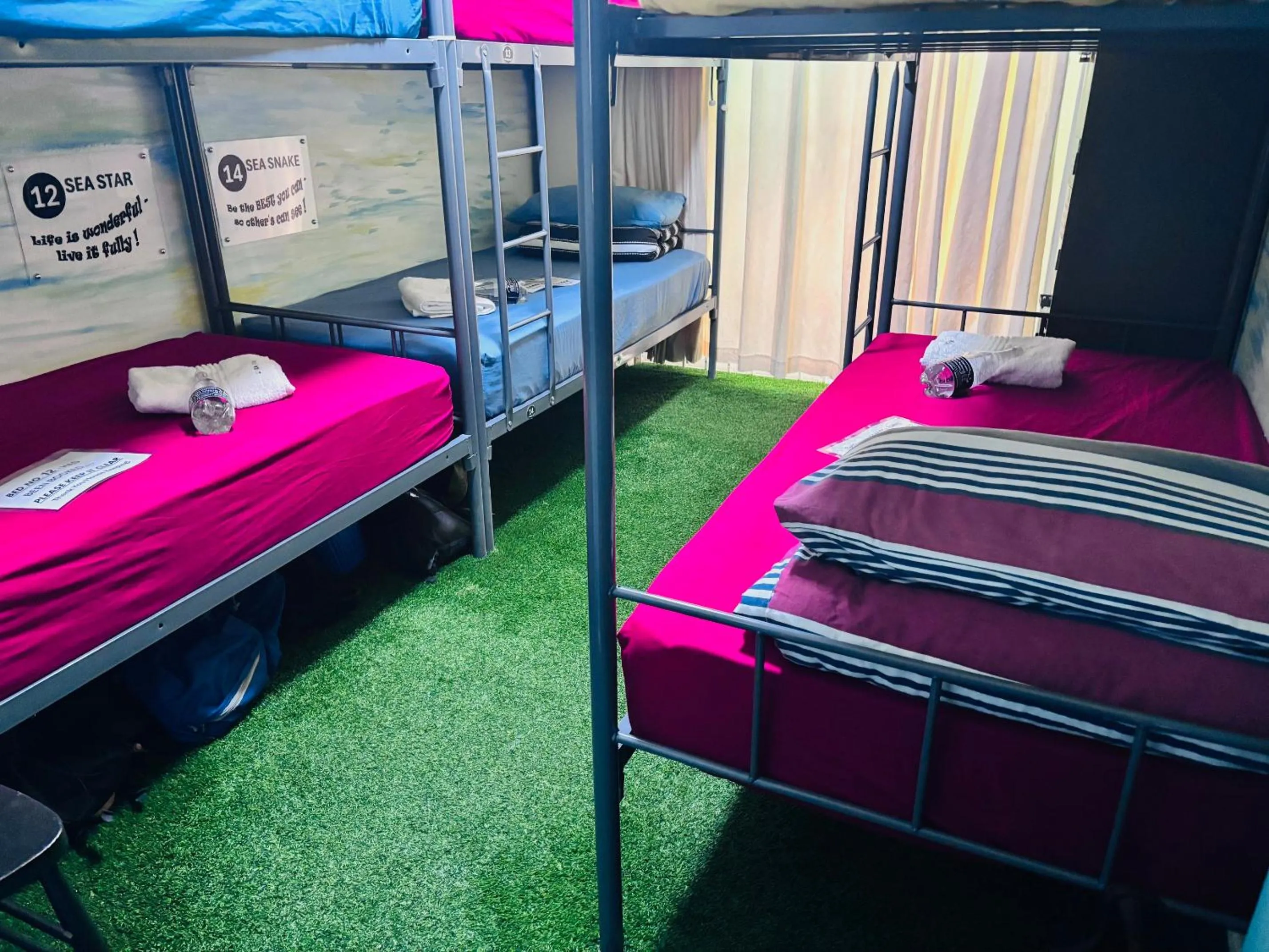 bunk bed, Bed in Cape Capsules