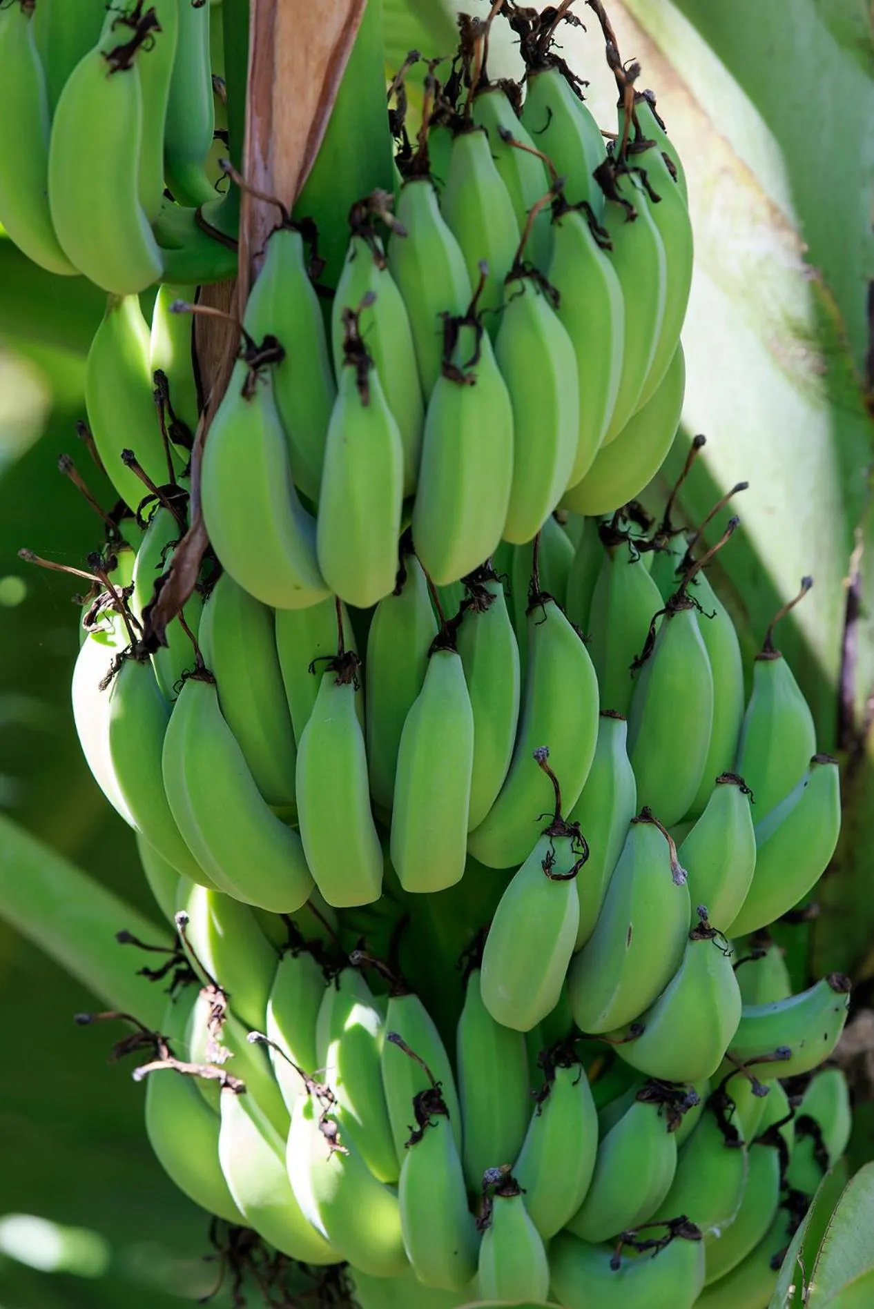 Living room in Mekong Riverside Boutique Resort & Spa