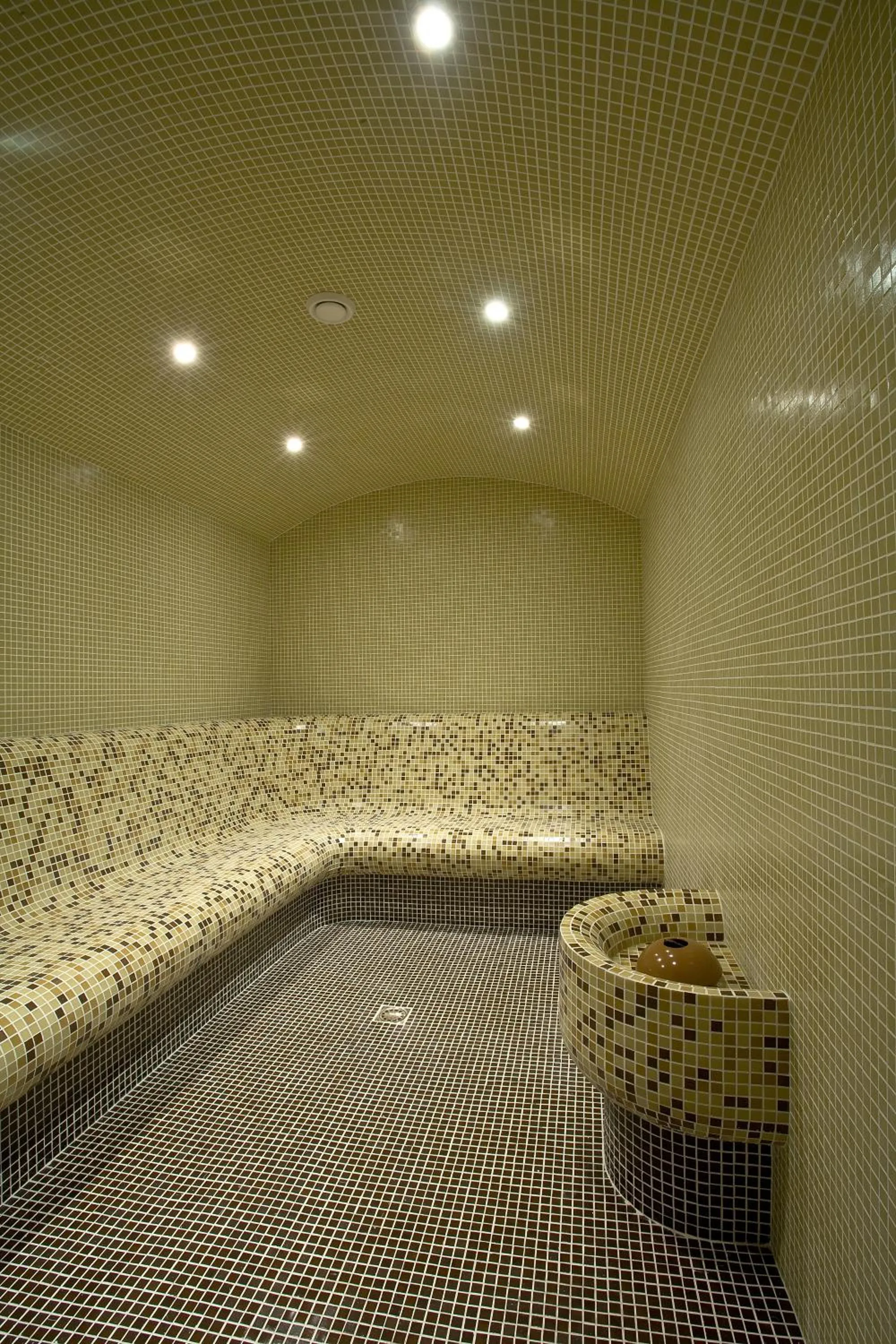 Spa and wellness centre/facilities in Hotel Chinar