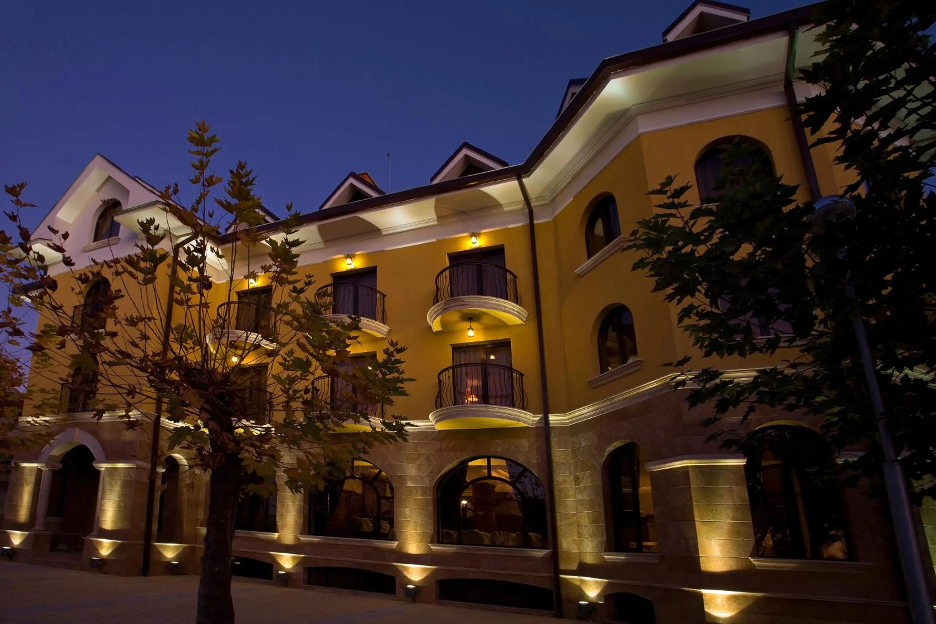 Facade/entrance in Hotel Chinar