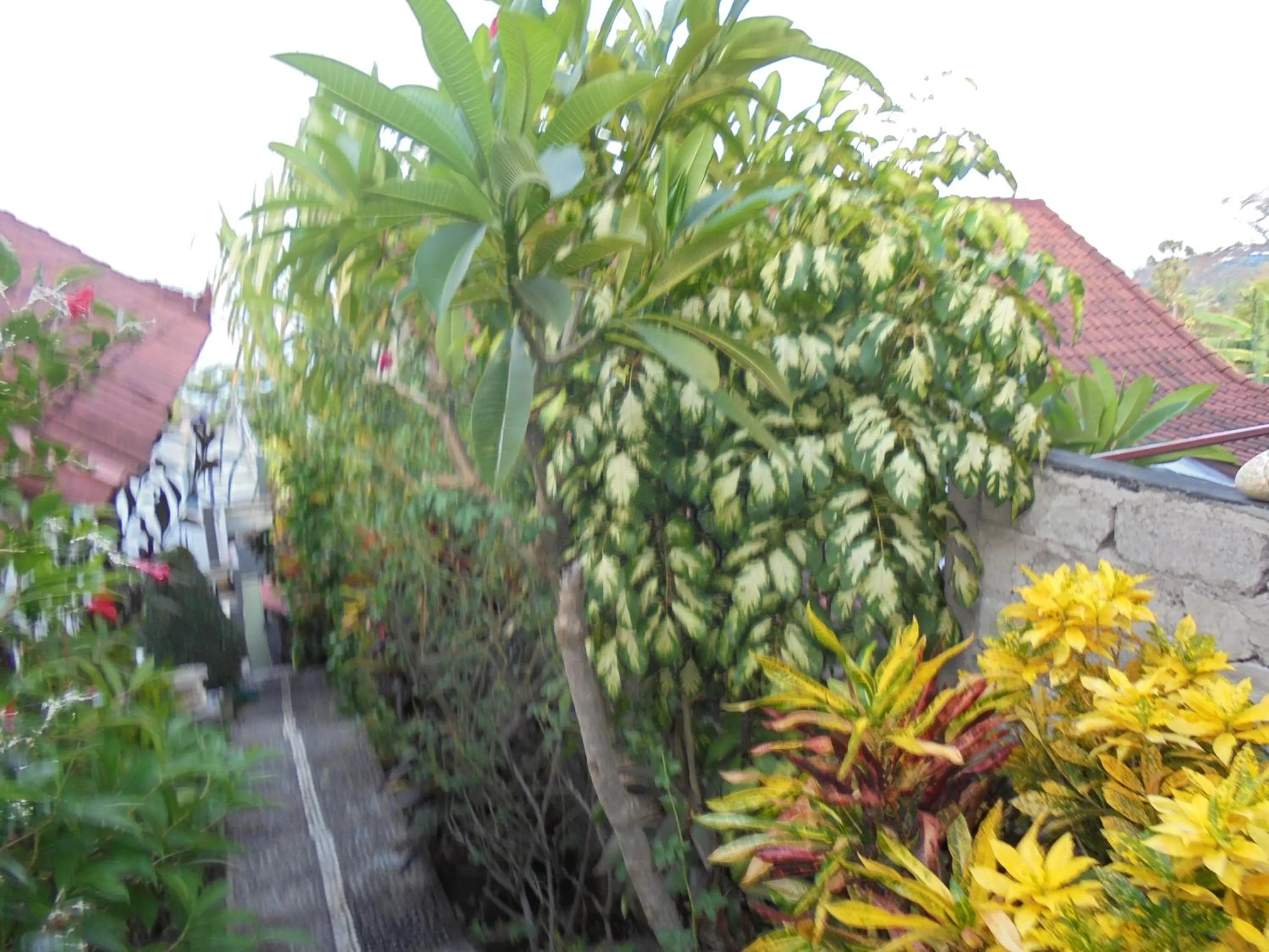 Titi Sedana Homestay