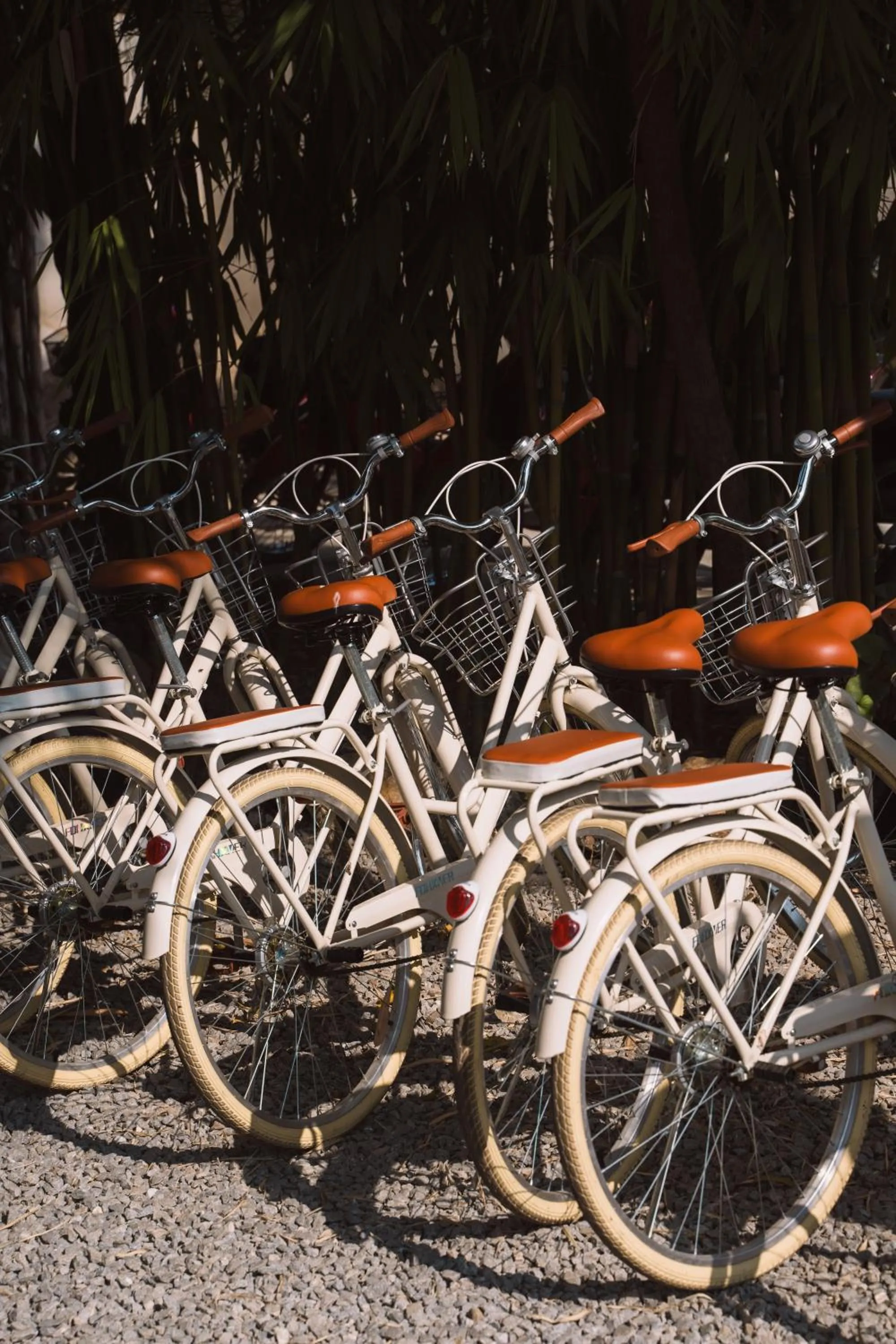 Cycling in Le Sen Boutique Hotel