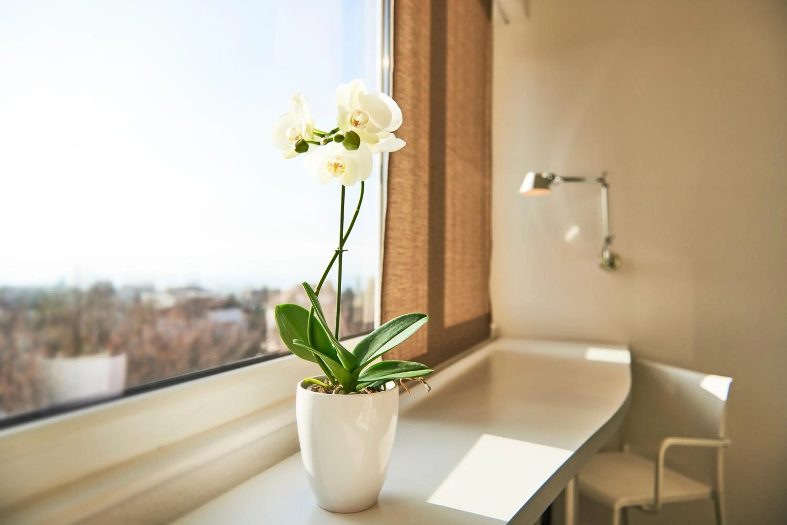 Day in Le Leman Hotel