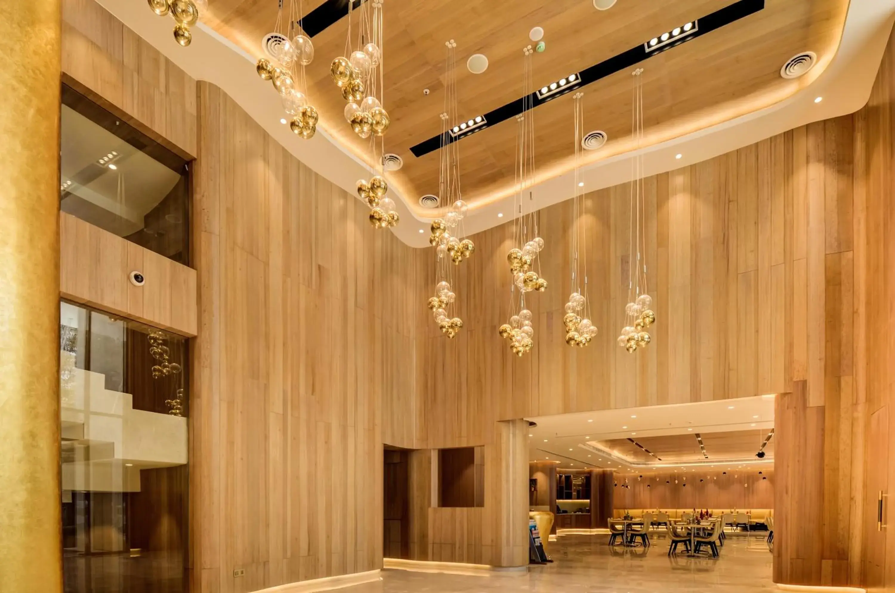 Lobby or reception in Vividus Lobby or reception in Vividus