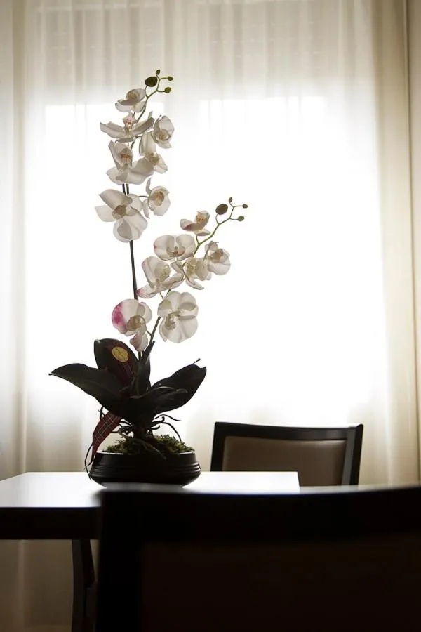 Day in Zara Rooms & Suites