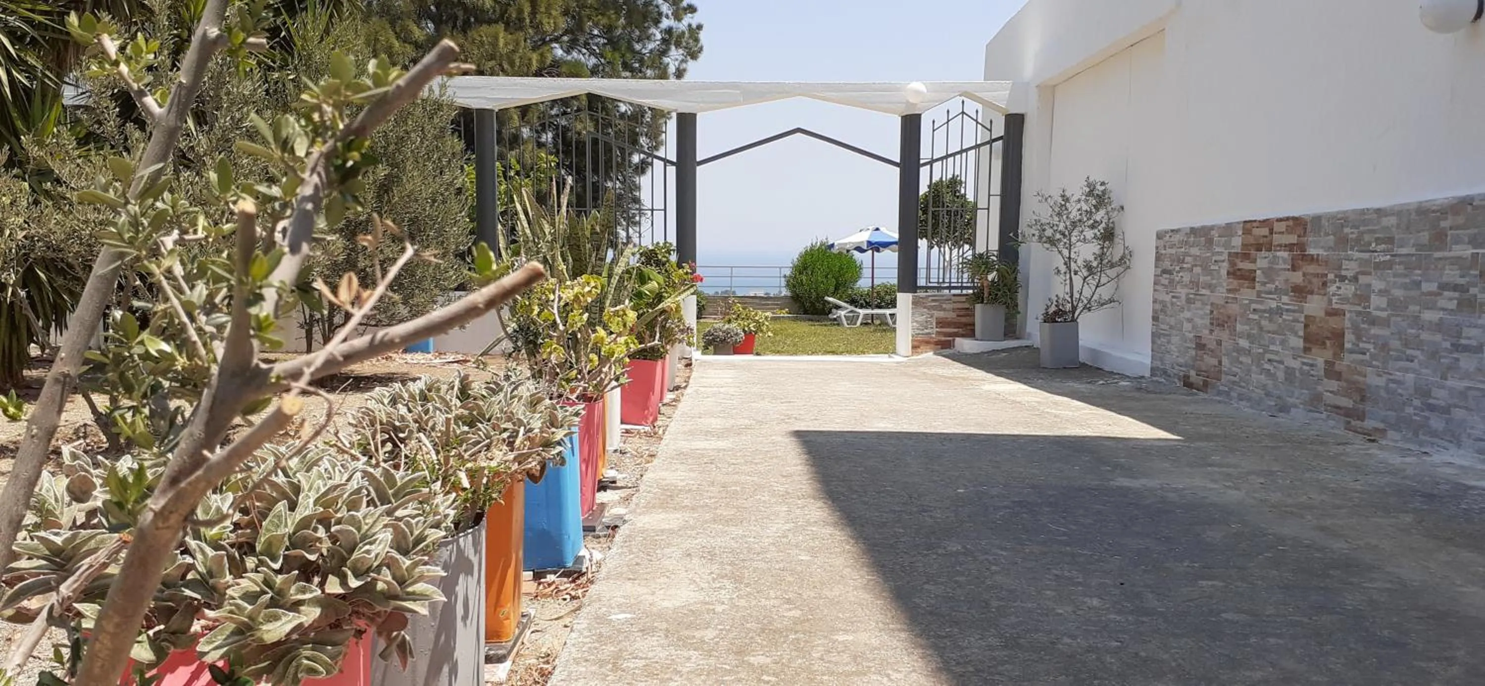 Garden in Oleander Studios
