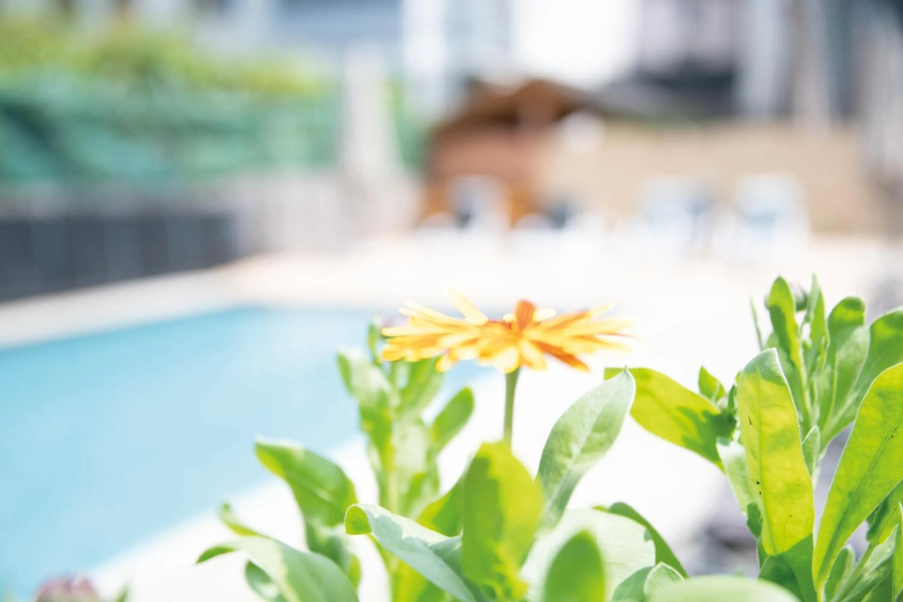 Swimming pool in Gasthof Teiser Stern