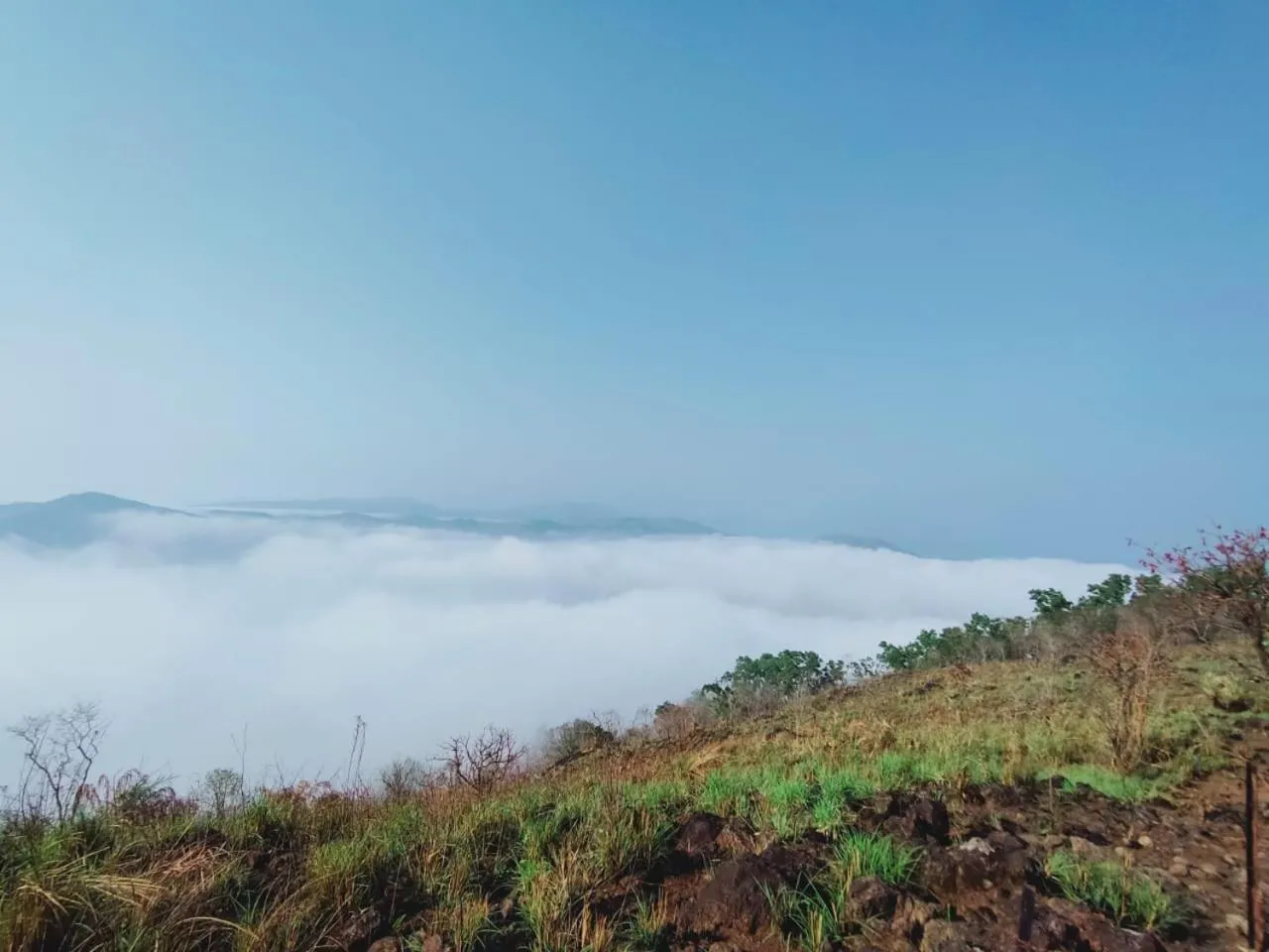 Olivia Homestay Idukki