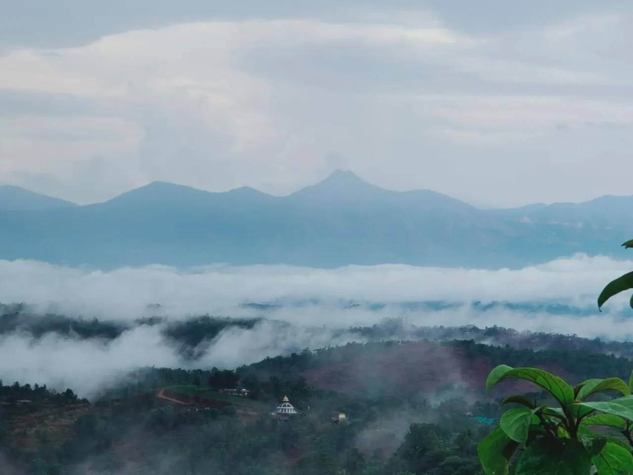 Olivia Homestay Idukki