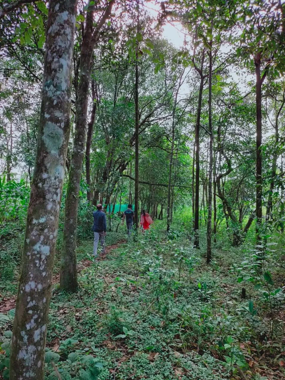Olivia Homestay Idukki