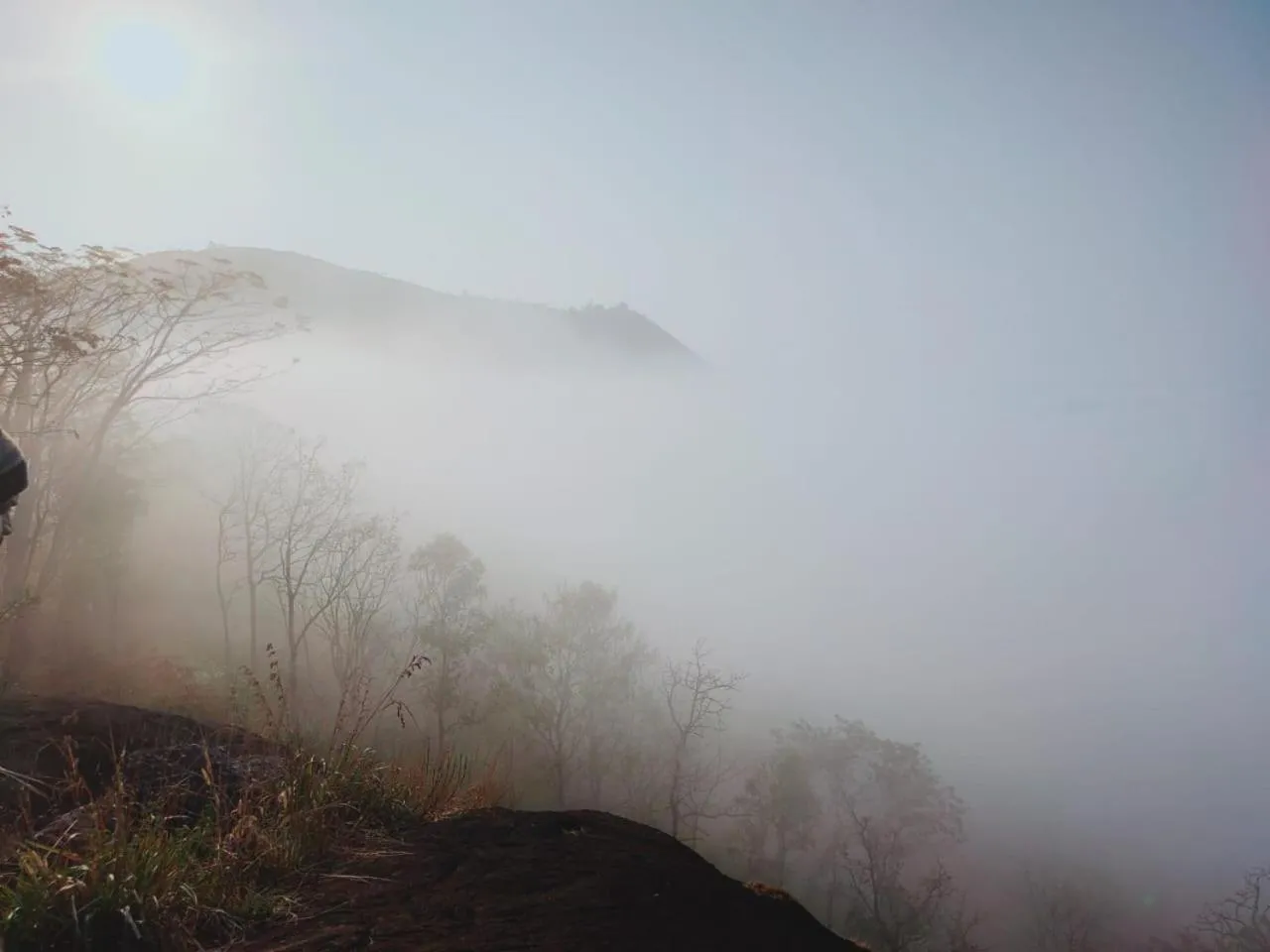 Olivia Homestay Idukki