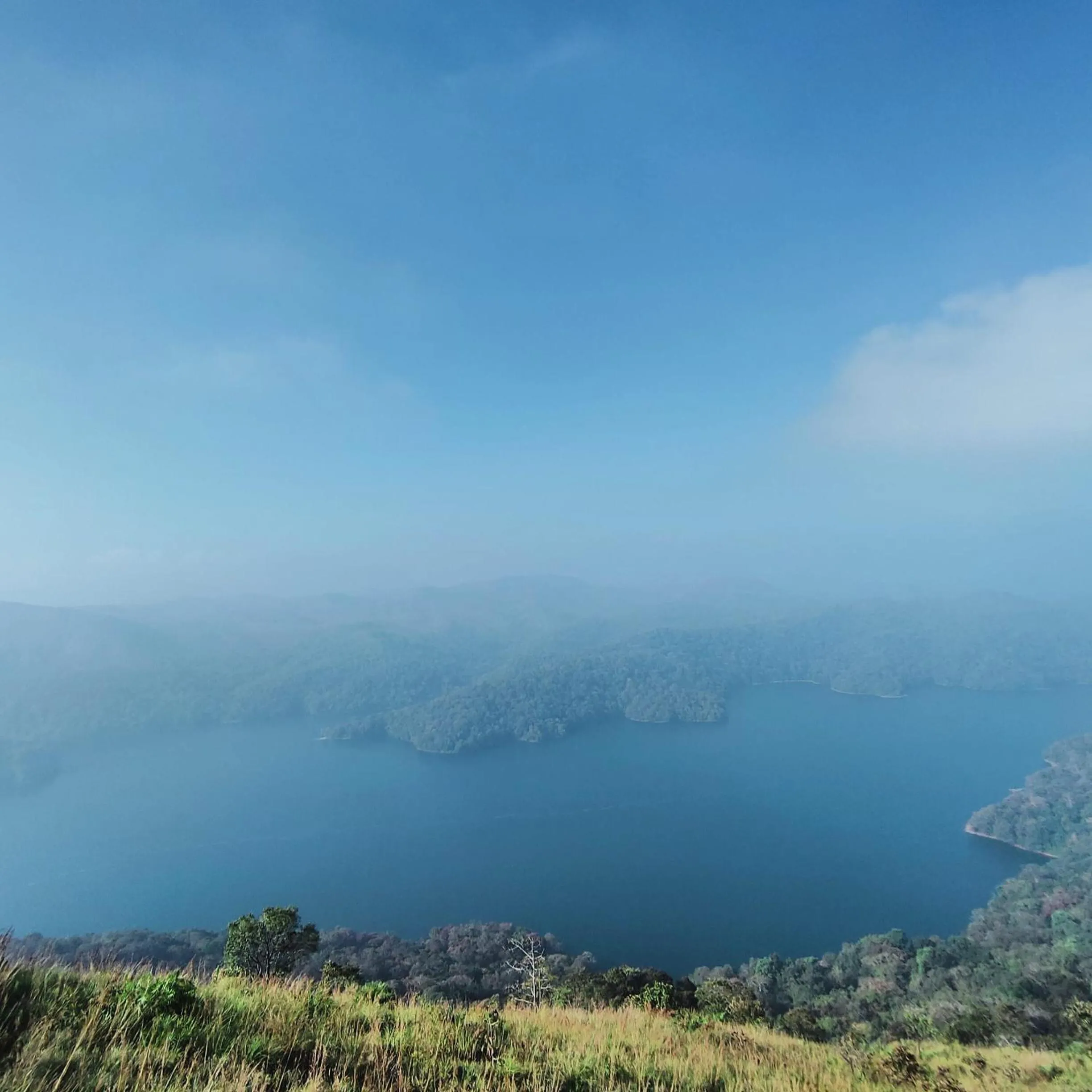 Olivia Homestay Idukki