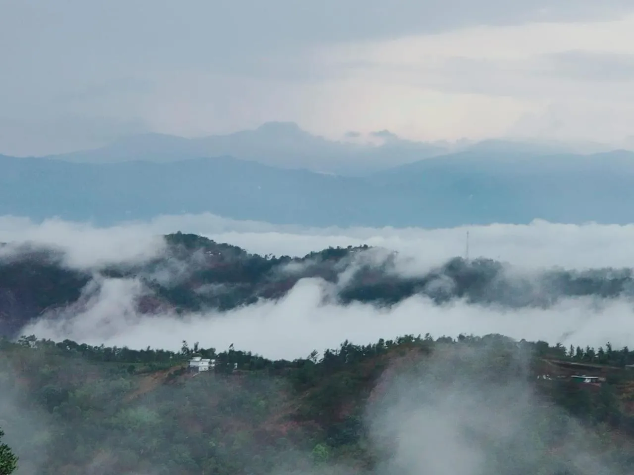 Olivia Homestay Idukki