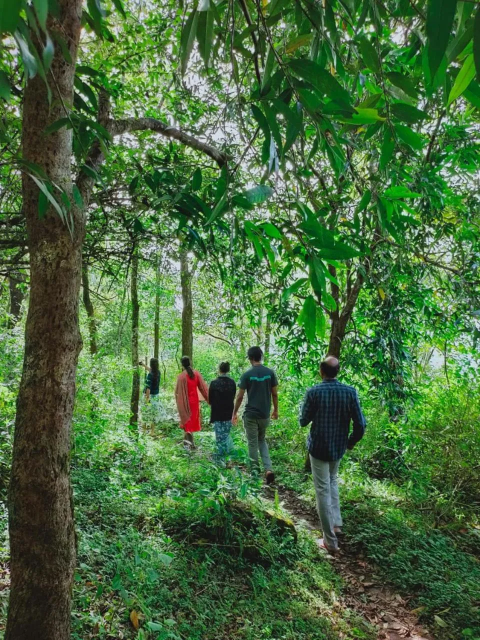 Olivia Homestay Idukki