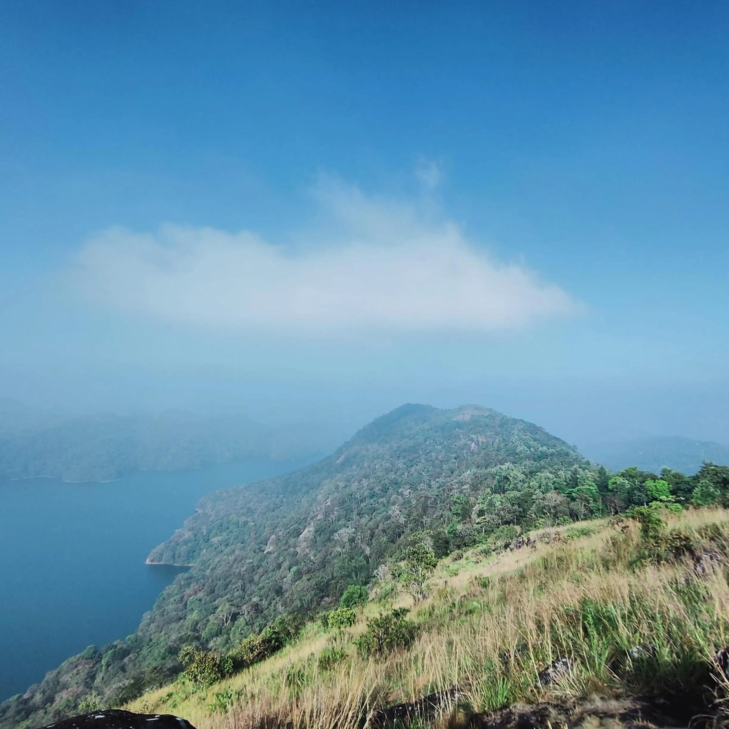 Olivia Homestay Idukki