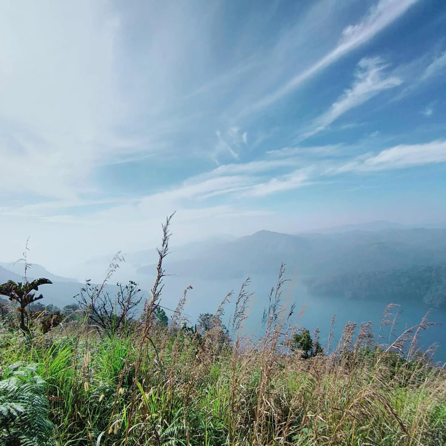 Olivia Homestay Idukki