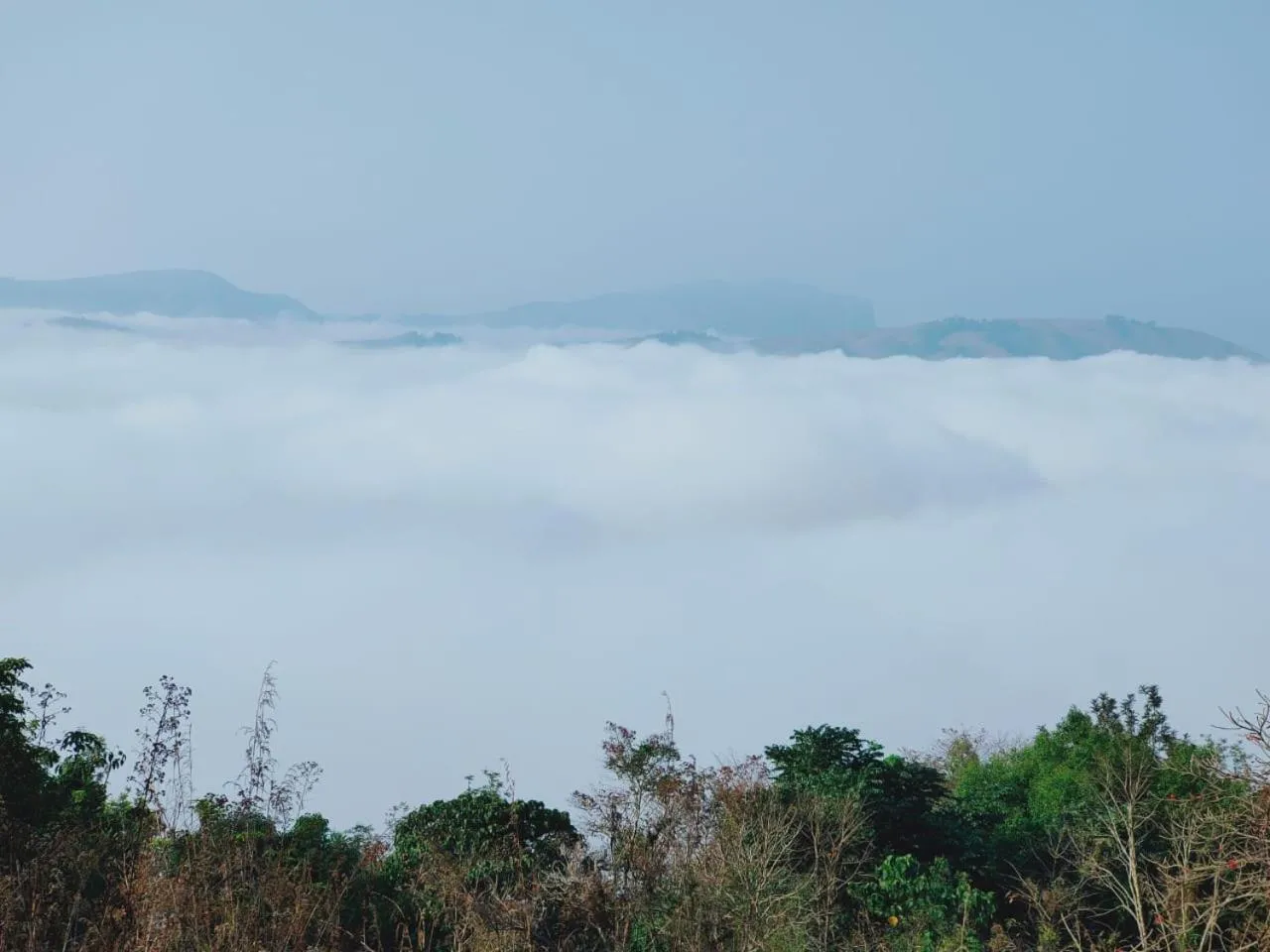 Olivia Homestay Idukki
