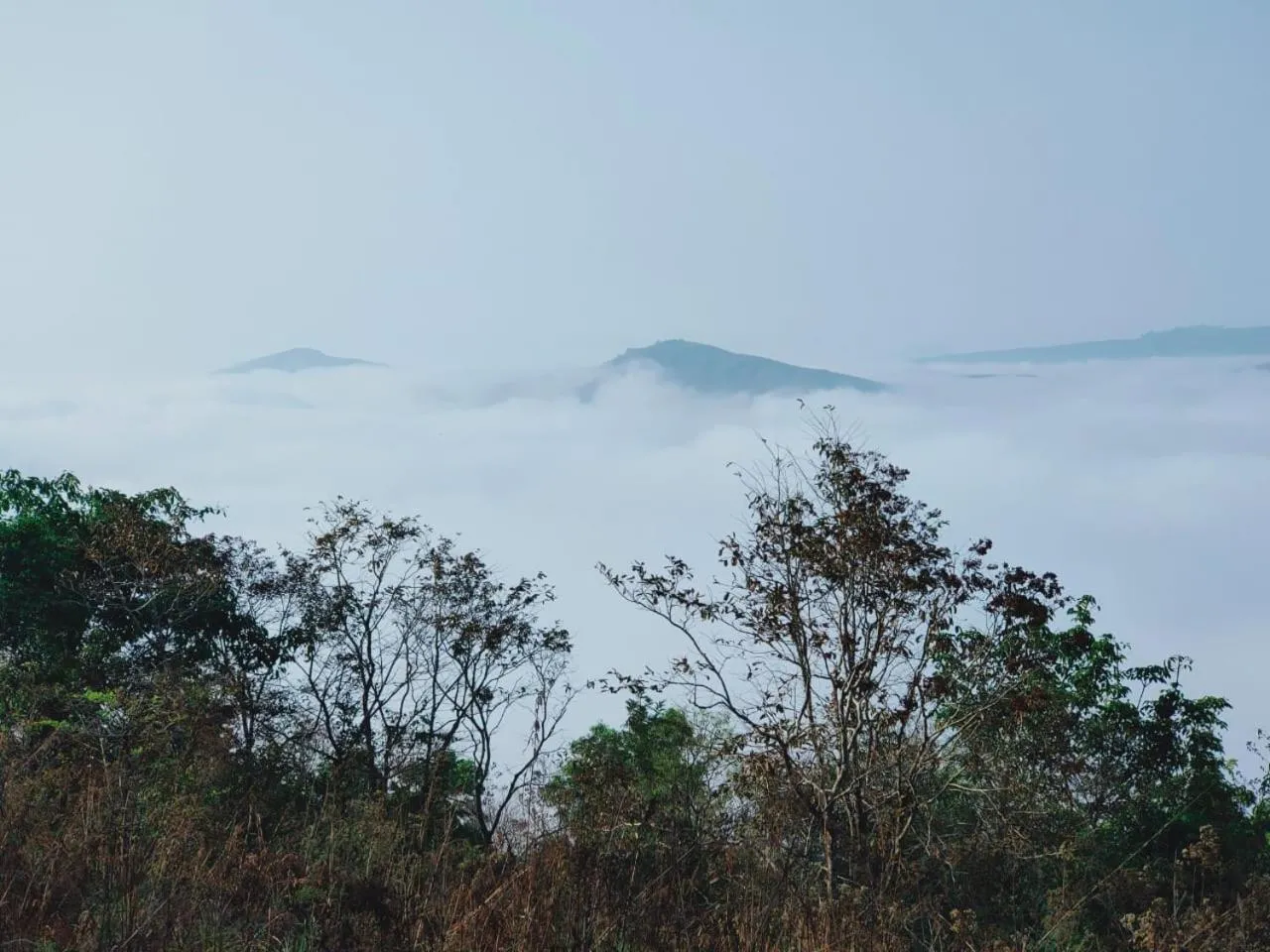 Olivia Homestay Idukki