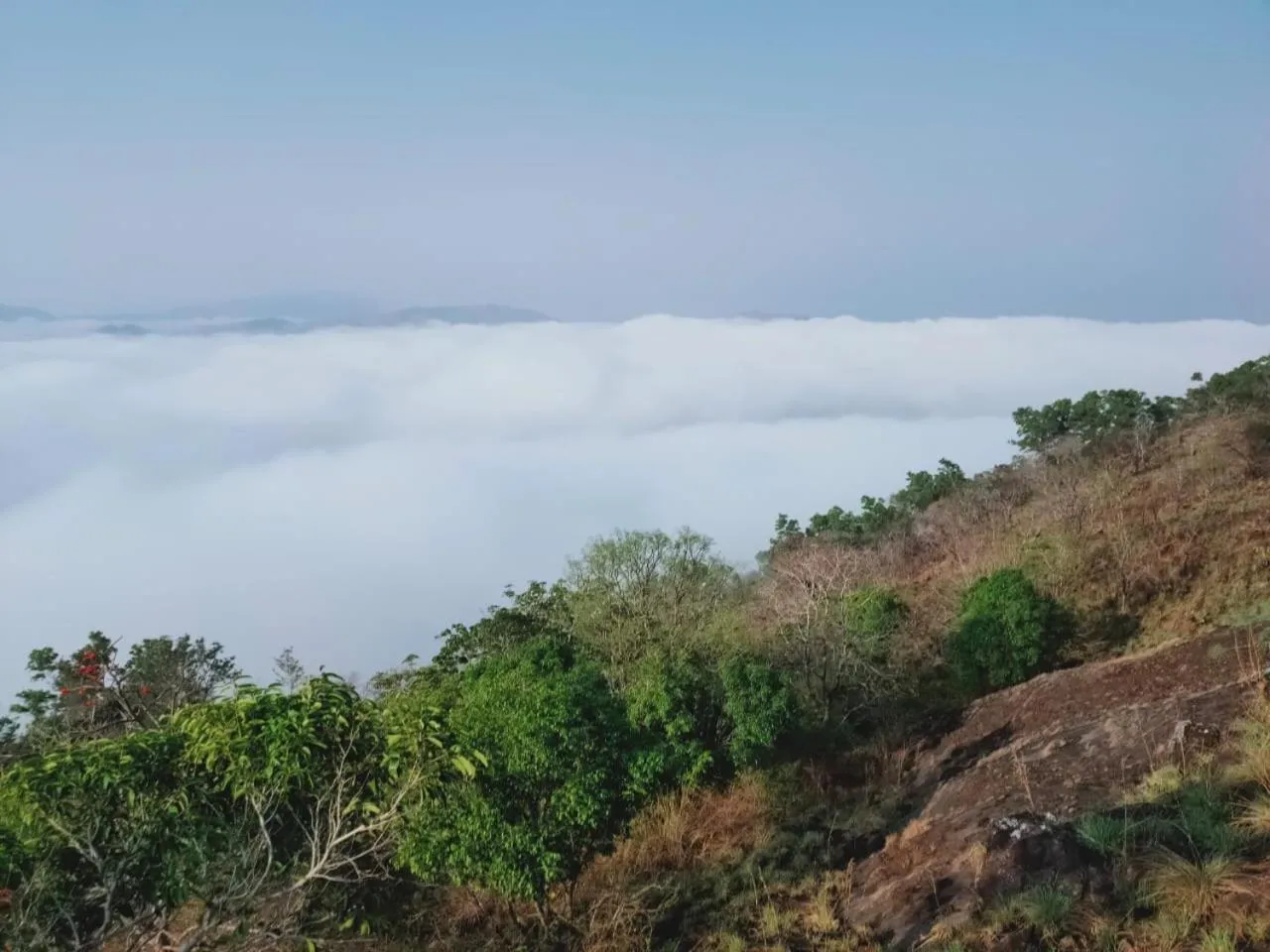 Olivia Homestay Idukki
