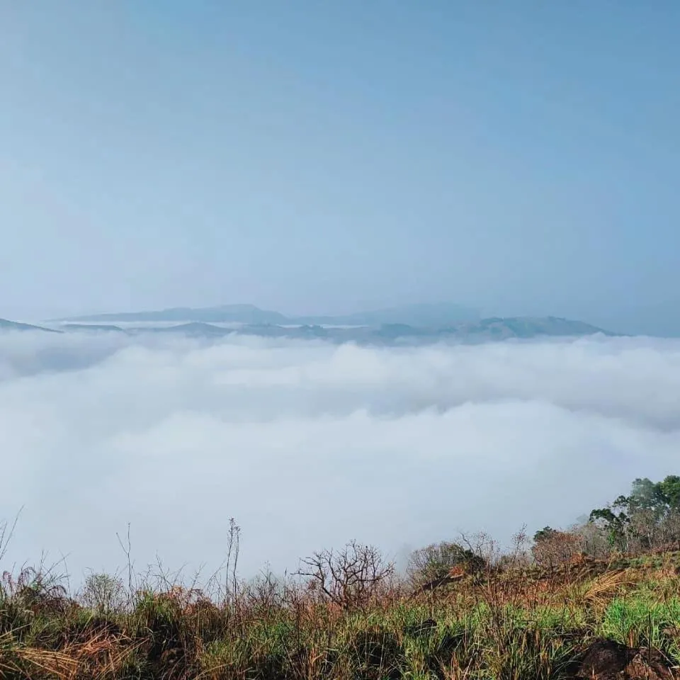 Olivia Homestay Idukki