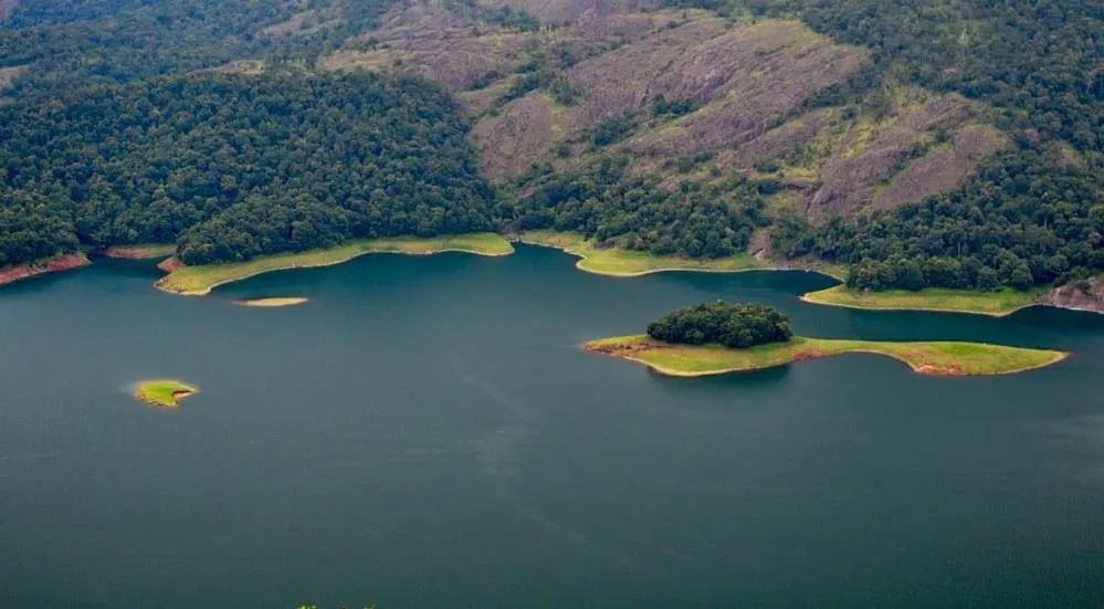 Olivia Homestay Idukki