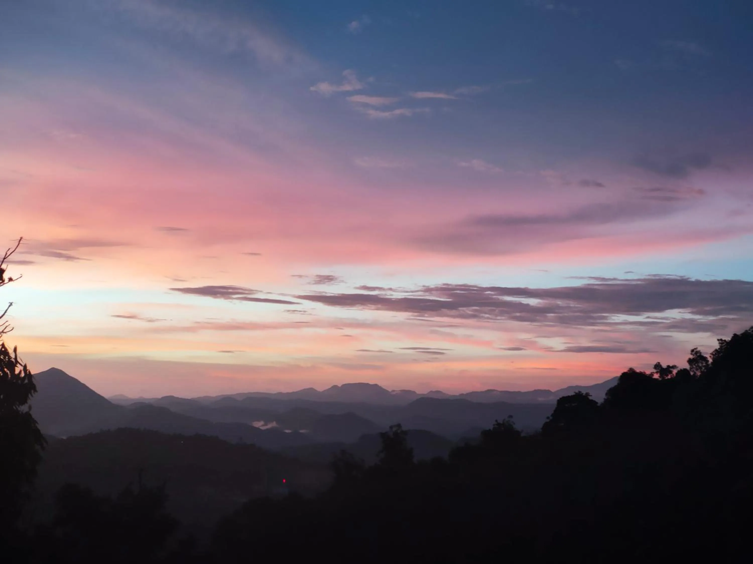 Mountain view in Olivia Homestay Idukki