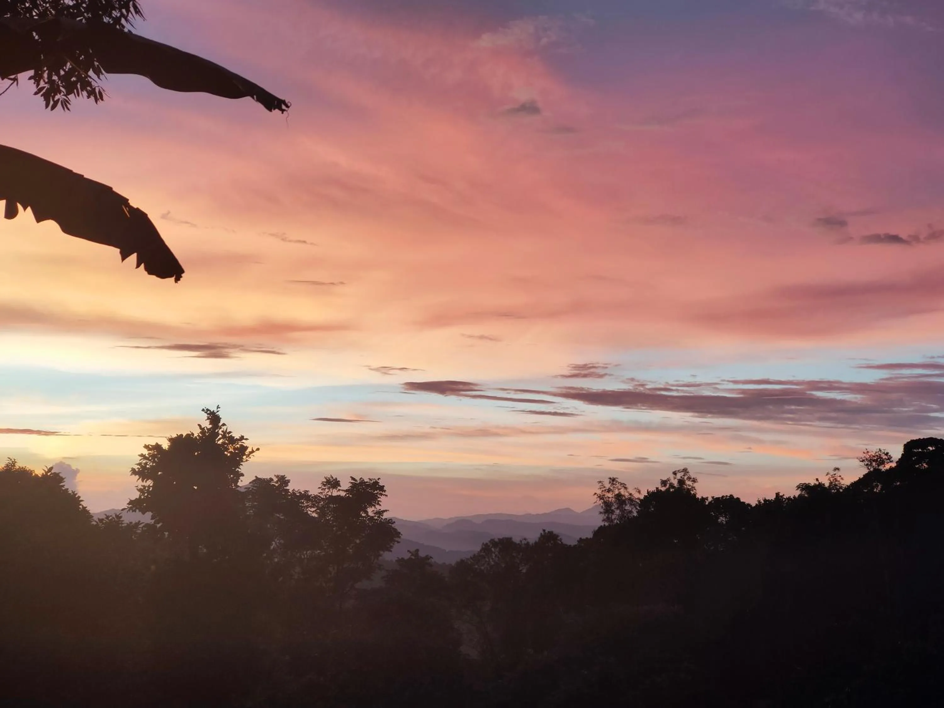 Sunset in Olivia Homestay Idukki