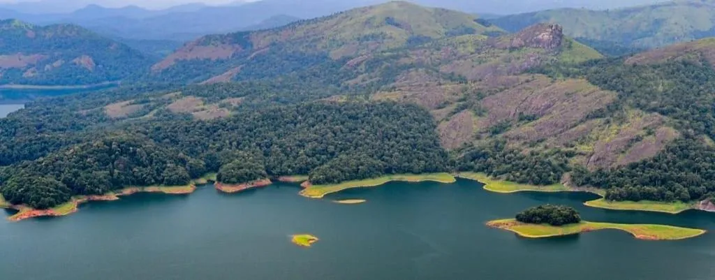 View (from property/room) in Olivia Homestay Idukki