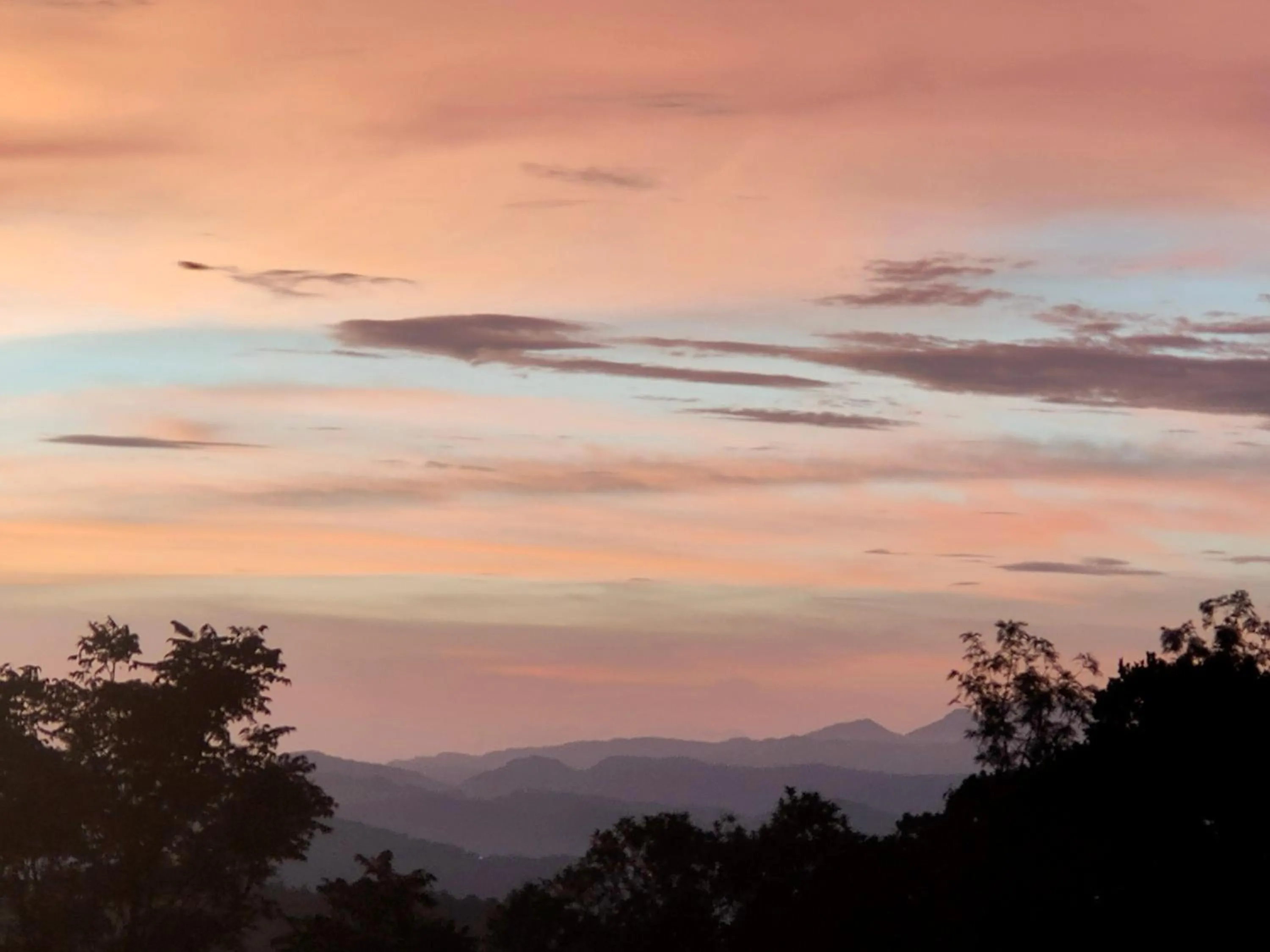 Sunset in Olivia Homestay Idukki
