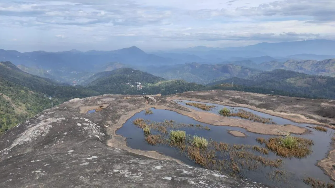 Olivia Homestay Idukki