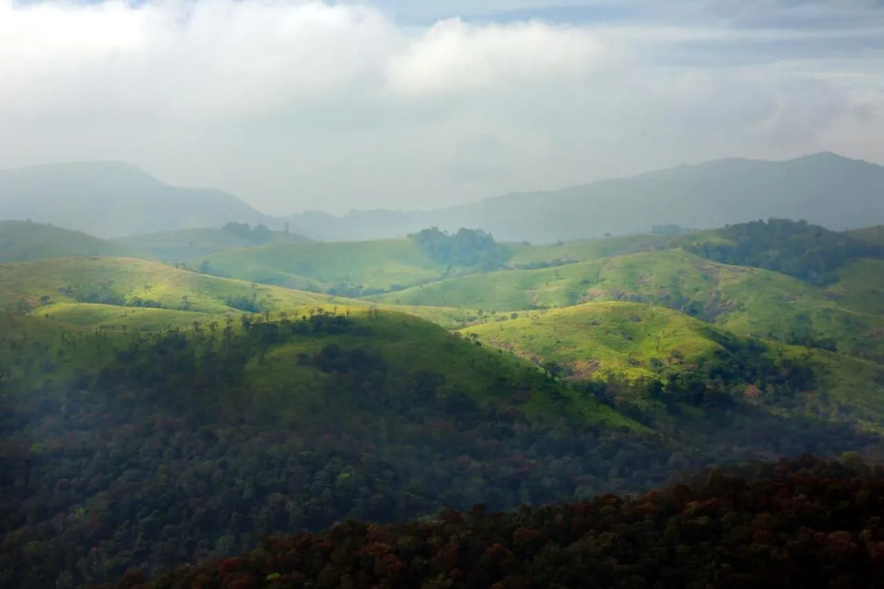 Olivia Homestay Idukki